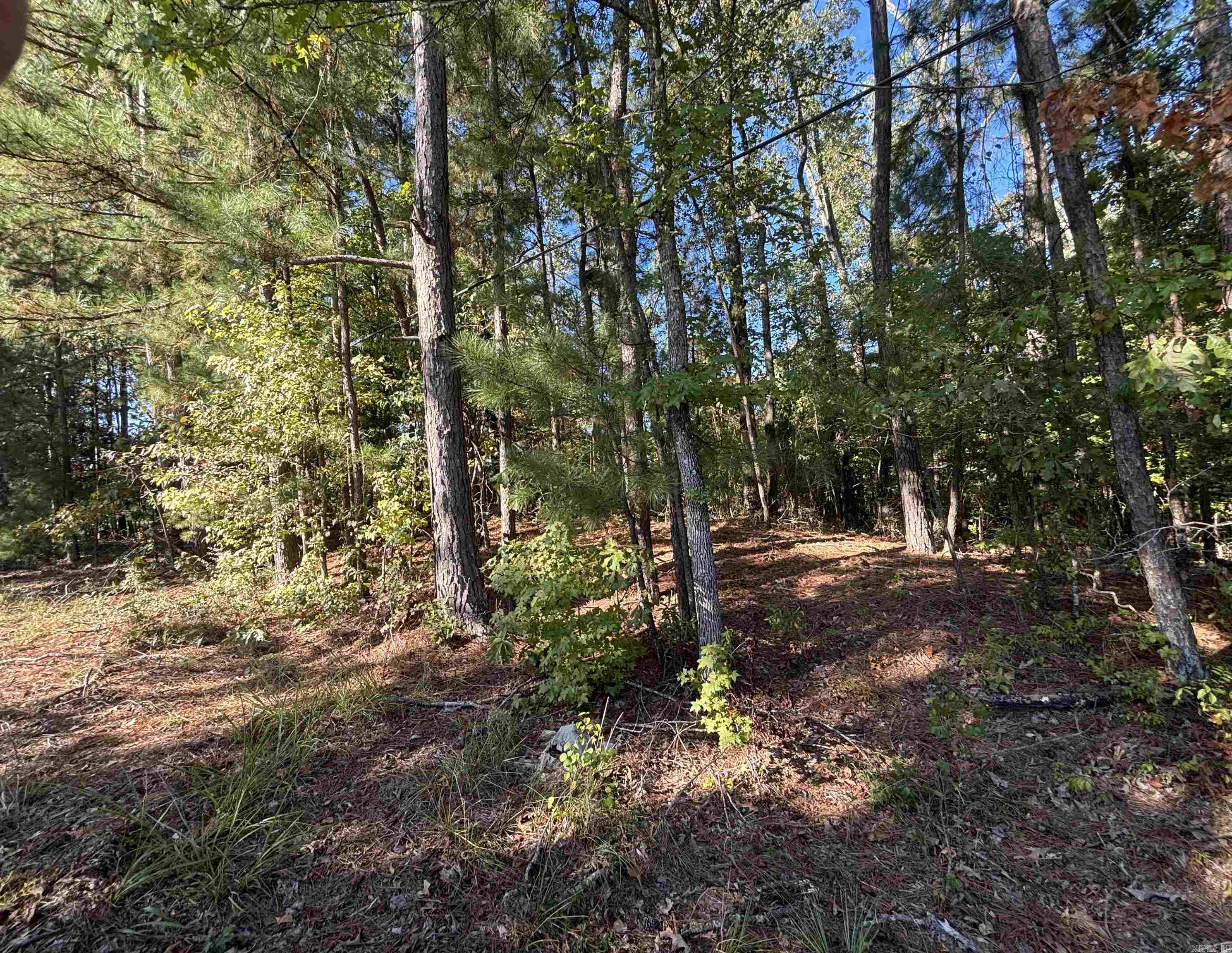 0 Freda Lane (North Lot)  Sheridan, AR
