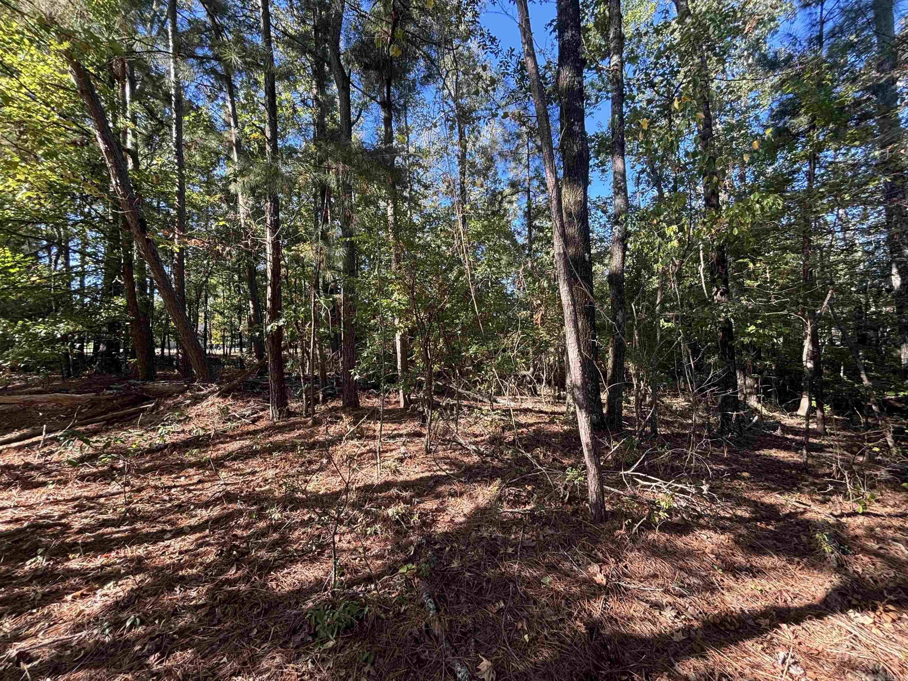 0 Freda Lane (North Lot)  Sheridan, AR