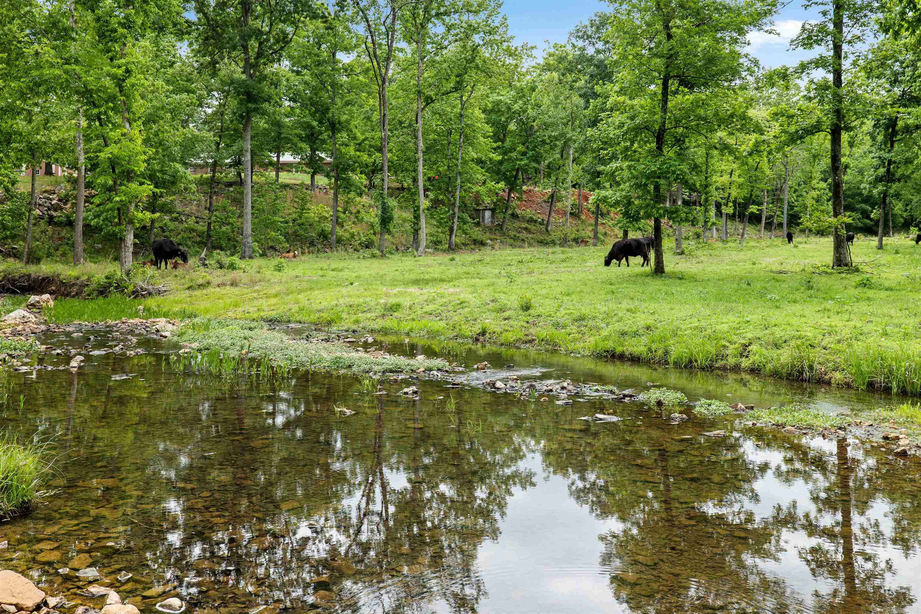 471 Lawrence Road 201  Black Rock, AR