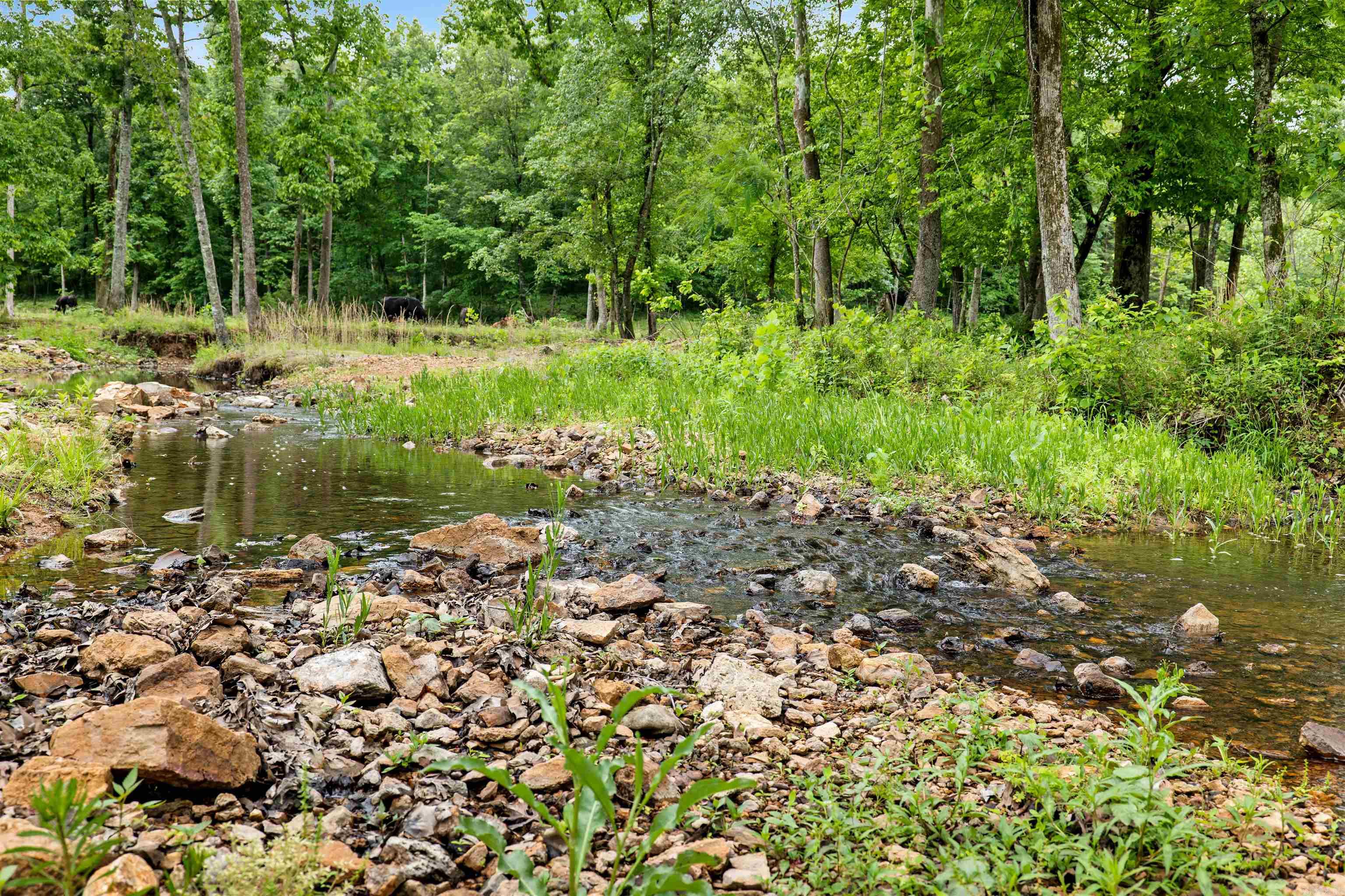 471 Lawrence Road 201  Black Rock, AR