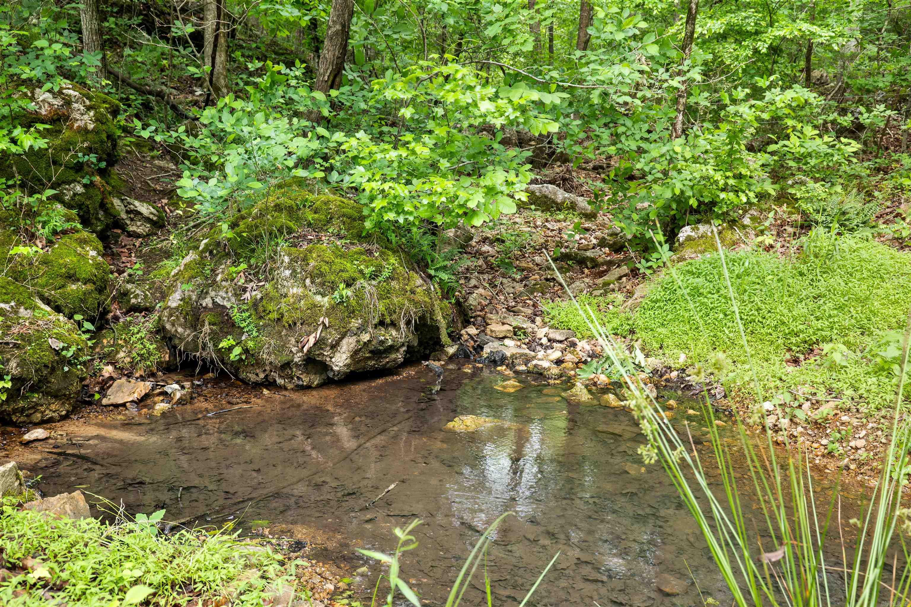 471 Lawrence Road 201  Black Rock, AR