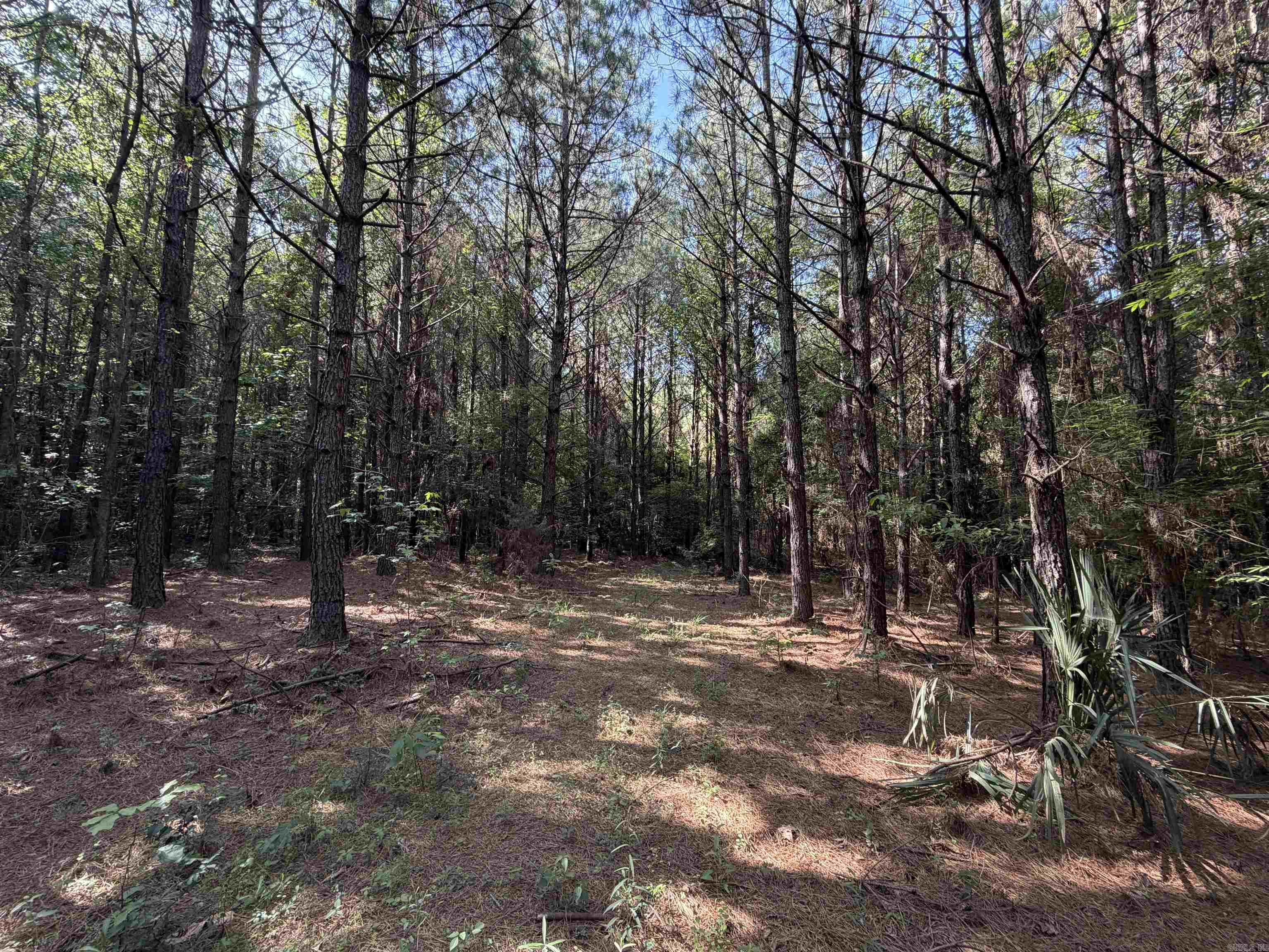 52 Hwy 160  Hermitage, AR