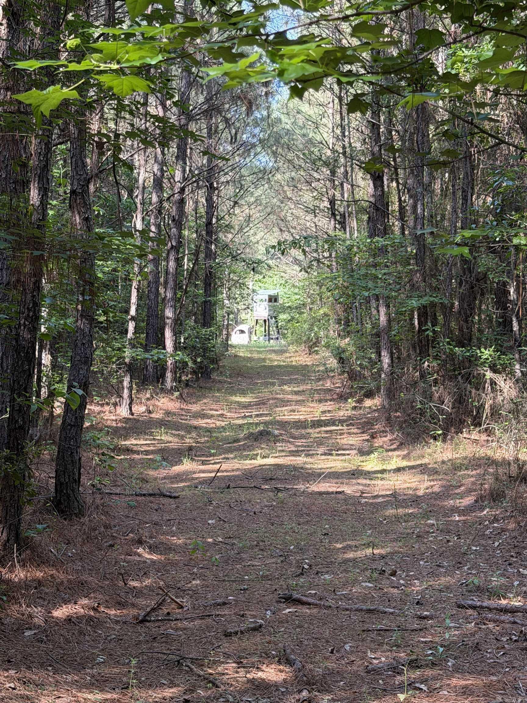 52 Hwy 160  Hermitage, AR