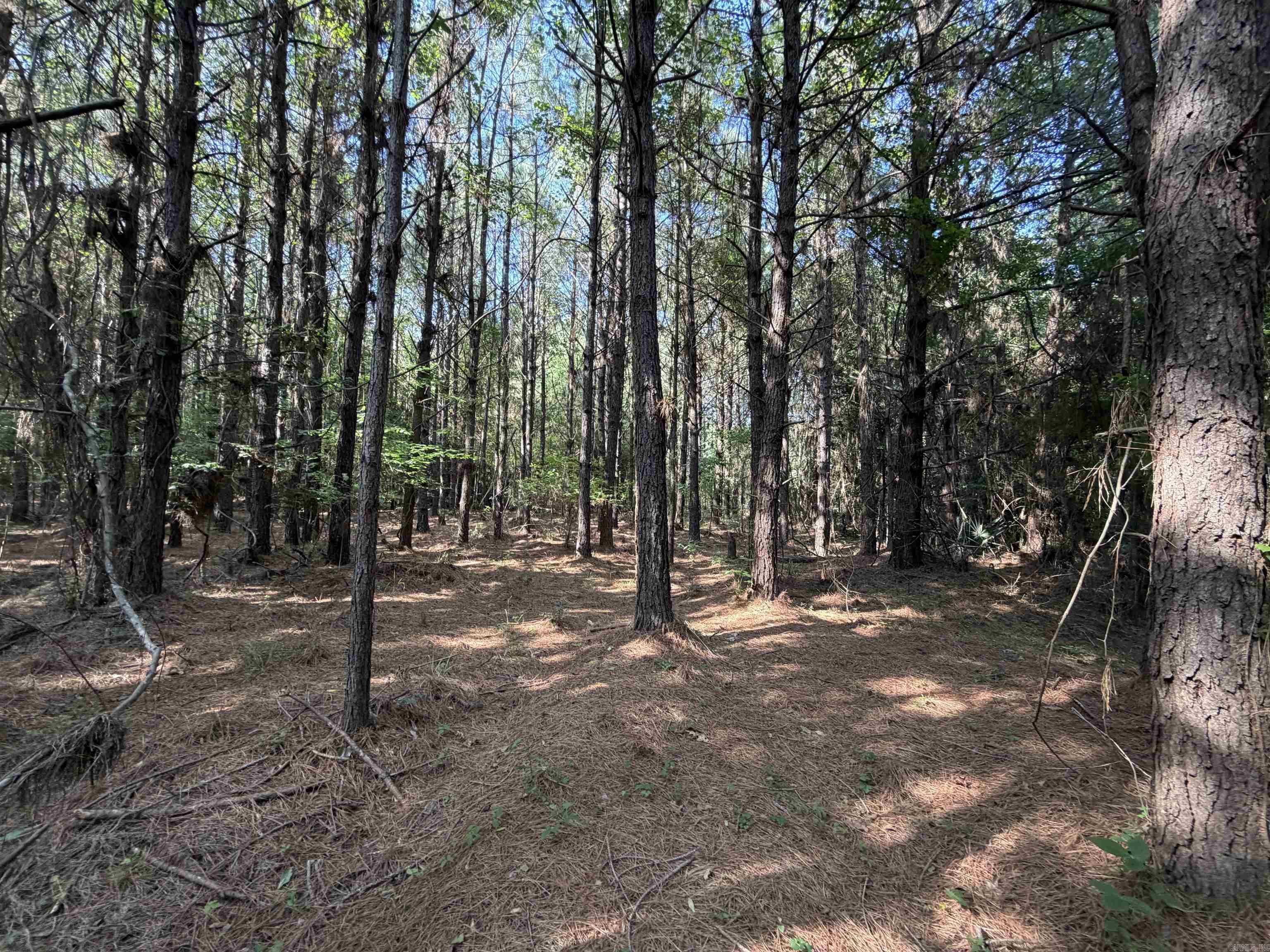 52 Hwy 160  Hermitage, AR