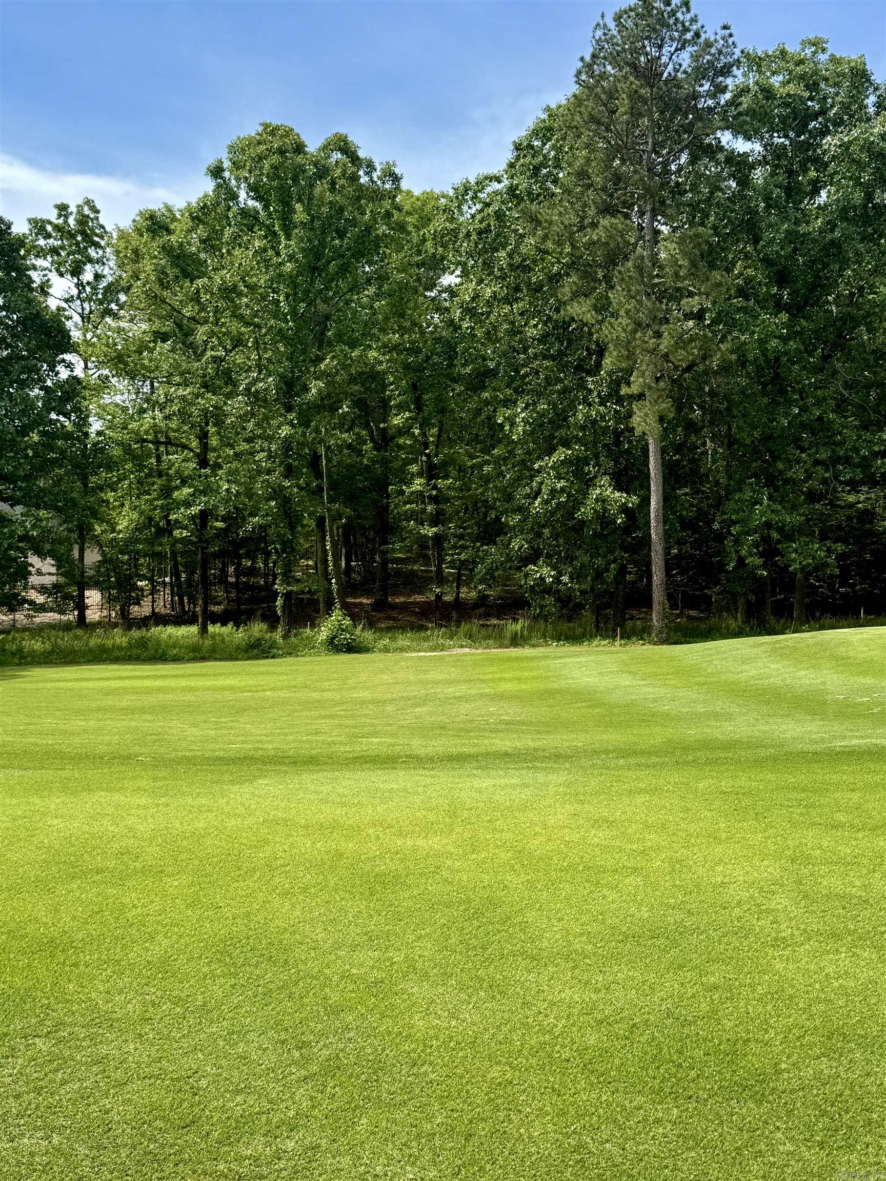 21 Loyola Dr  Hot Springs Village, AR