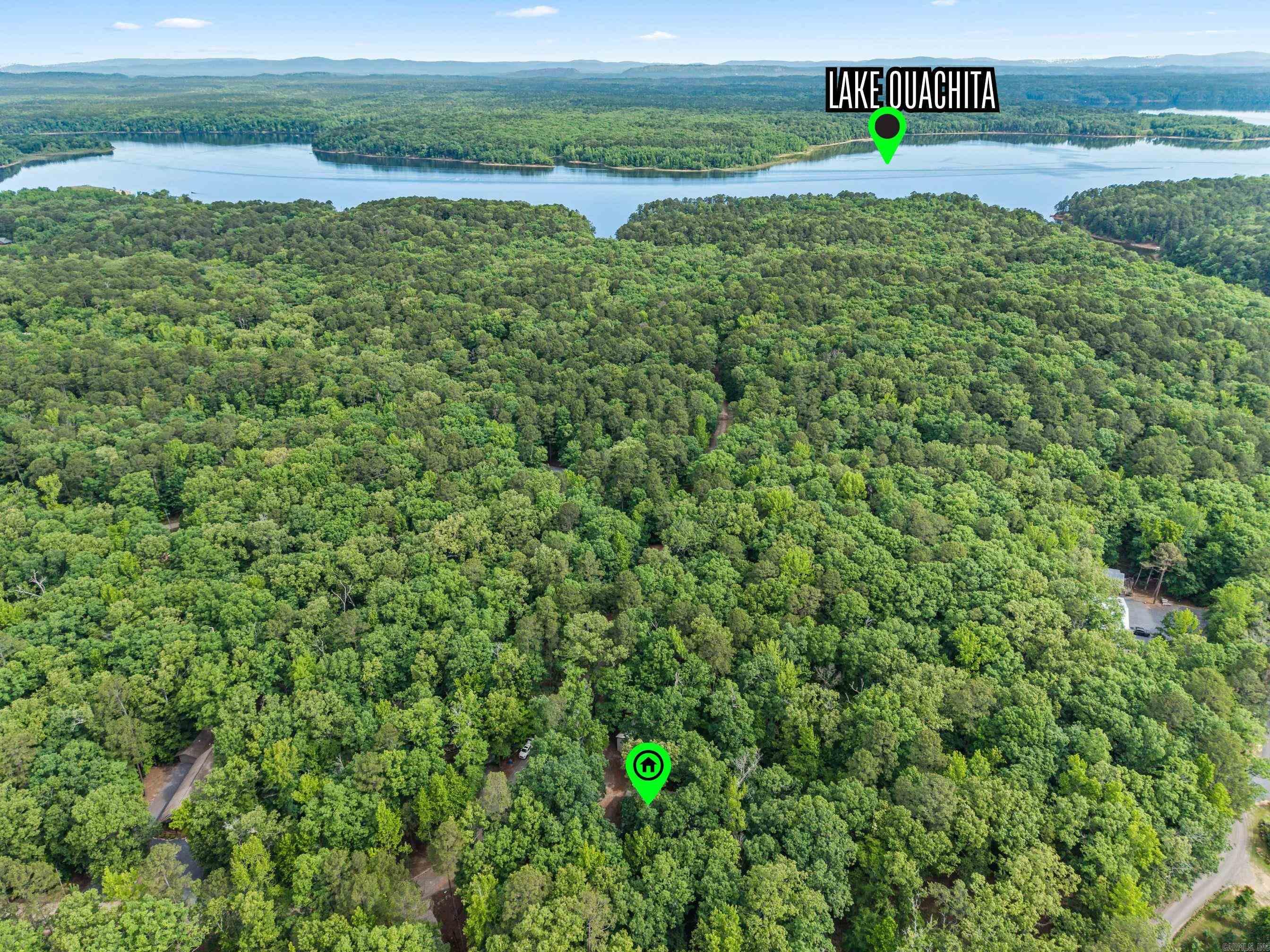 61 Muscadine  Mount Ida, AR