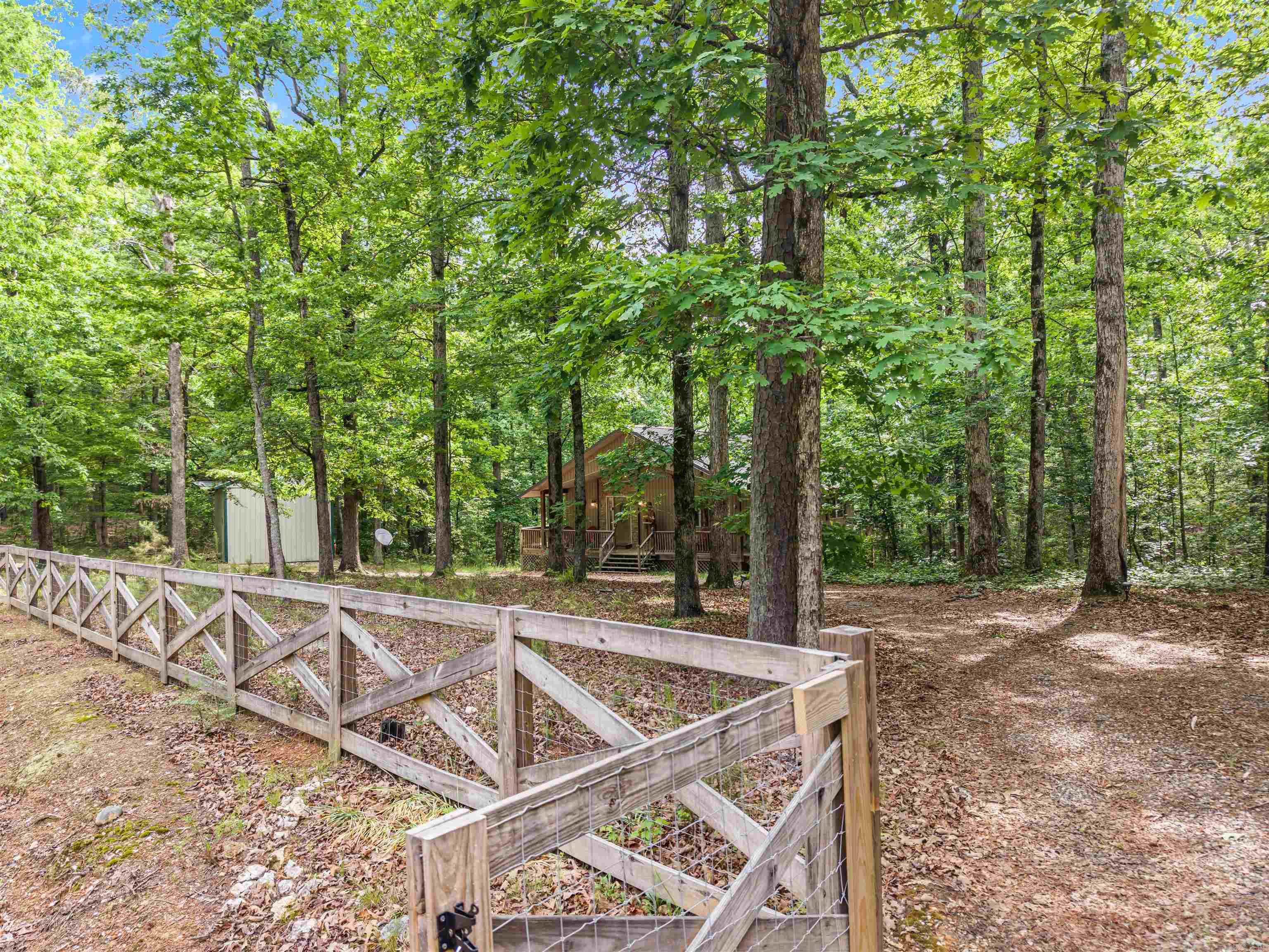 61 Muscadine  Mount Ida, AR
