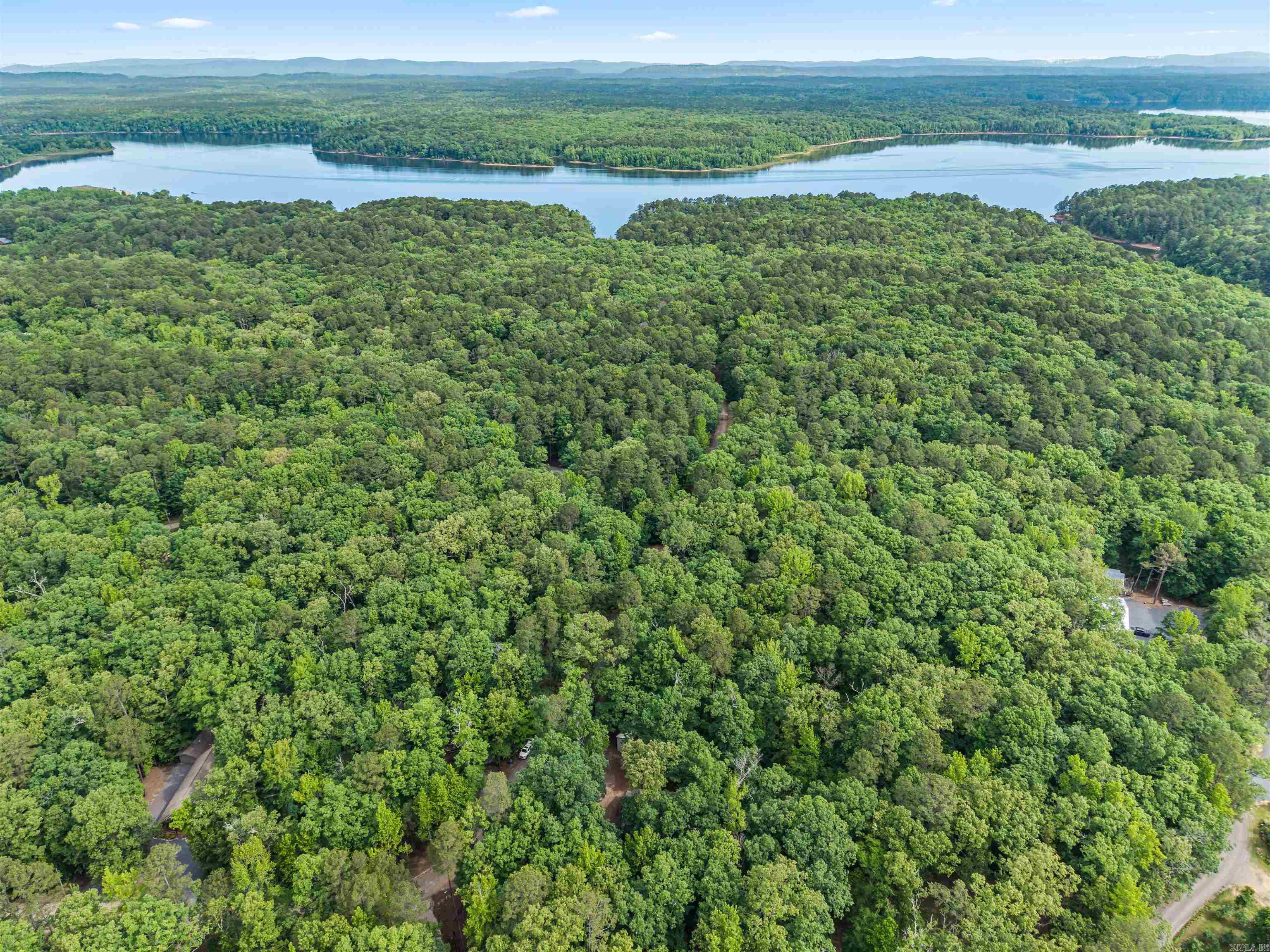 61 Muscadine  Mount Ida, AR