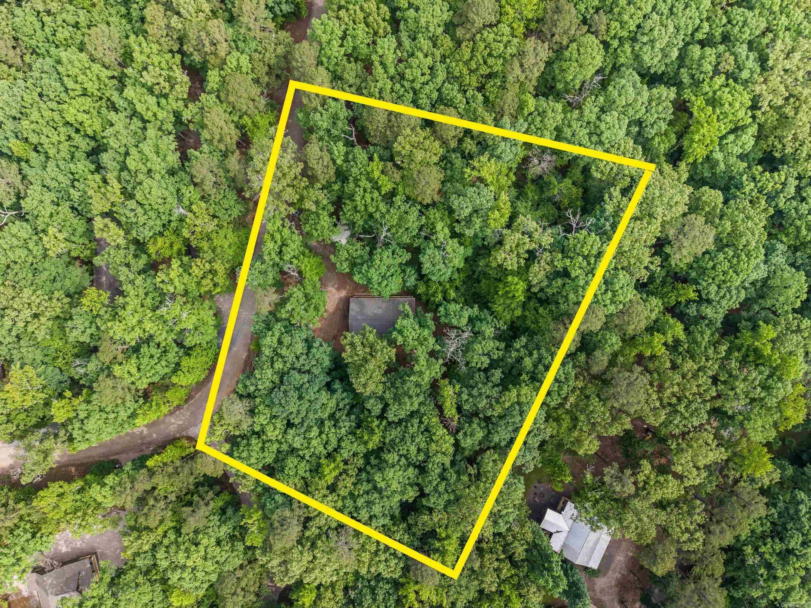 61 Muscadine  Mount Ida, AR