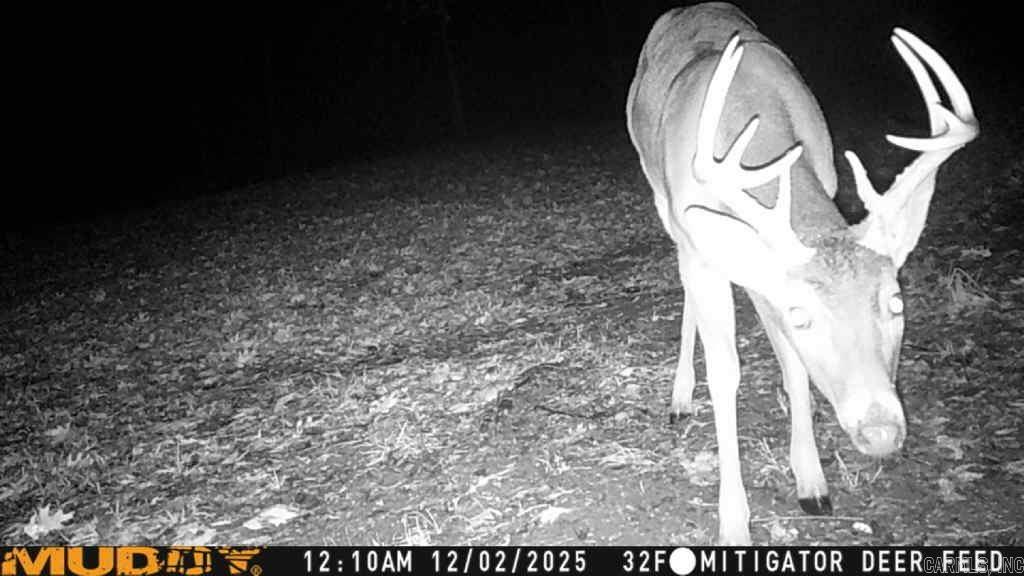 3325 Batesville  Batesville, AR