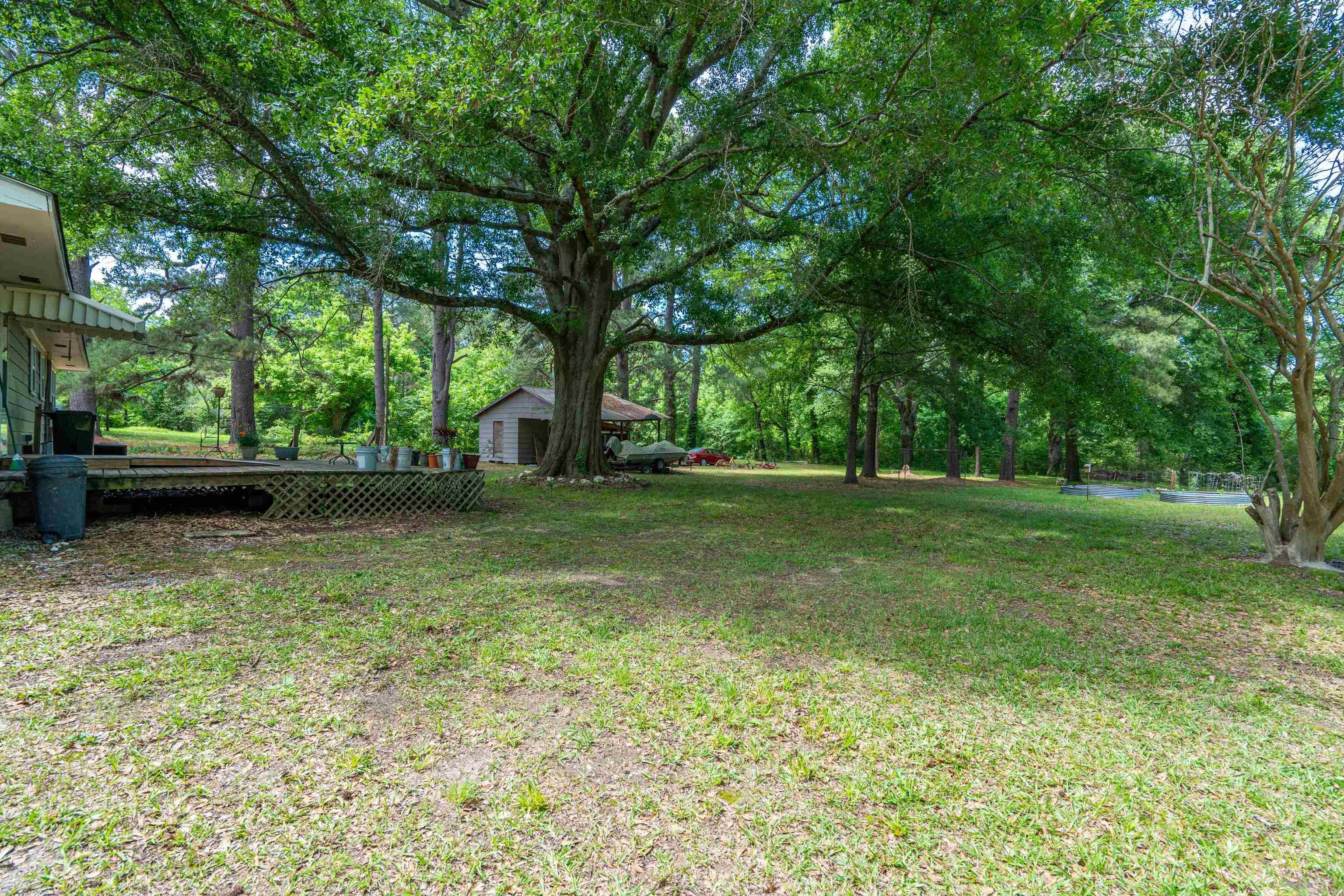 240 Gum  Arkadelphia, AR