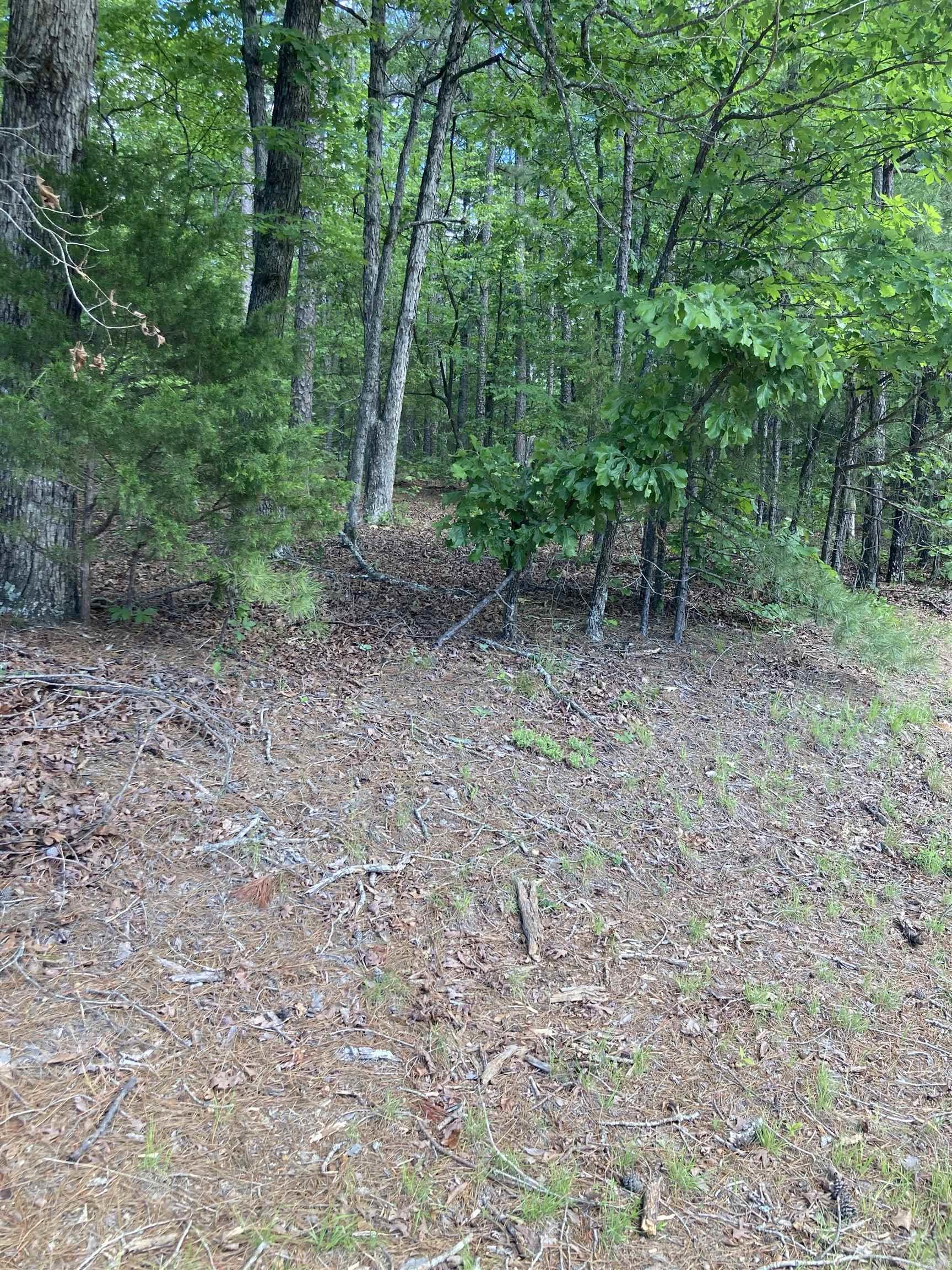 000 Dave Creek Pkwy  Fairfield Bay, AR