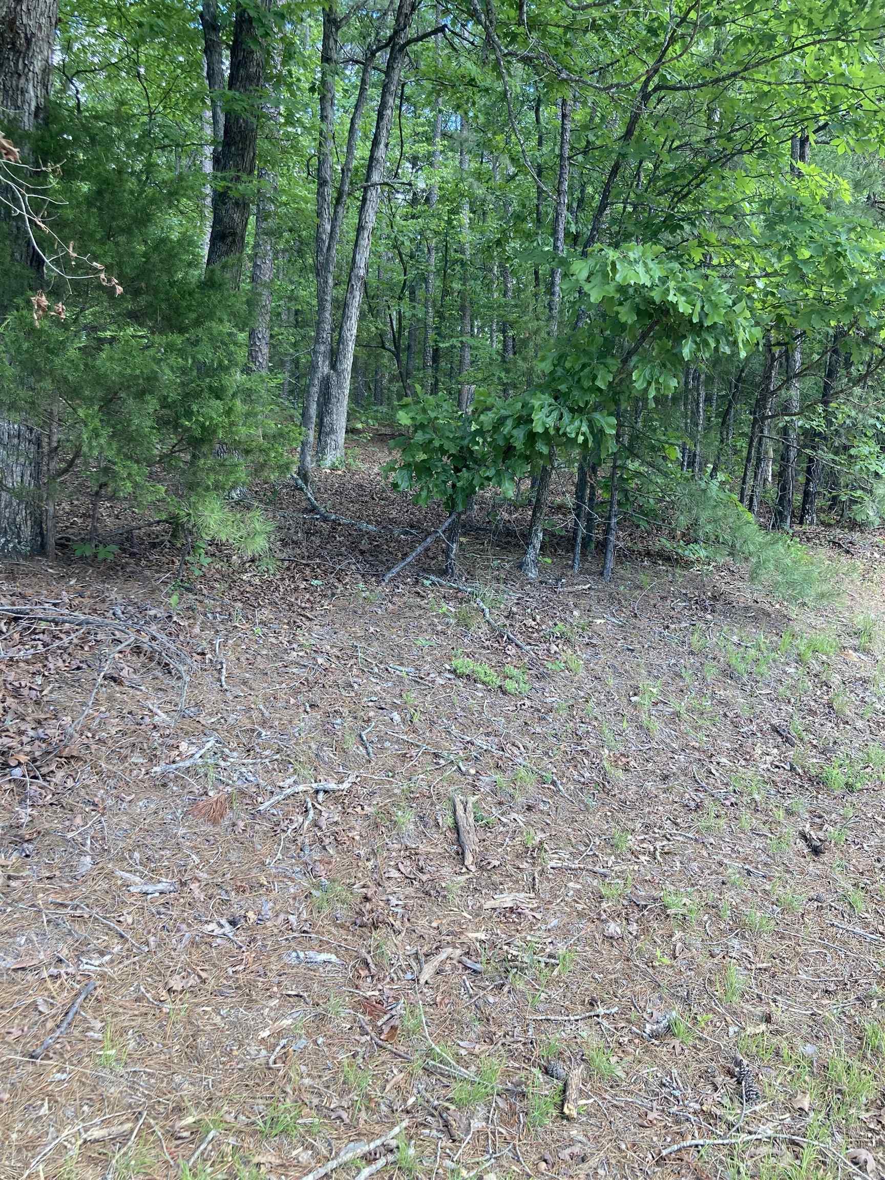 000 Dave Creek Pkwy  Fairfield Bay, AR