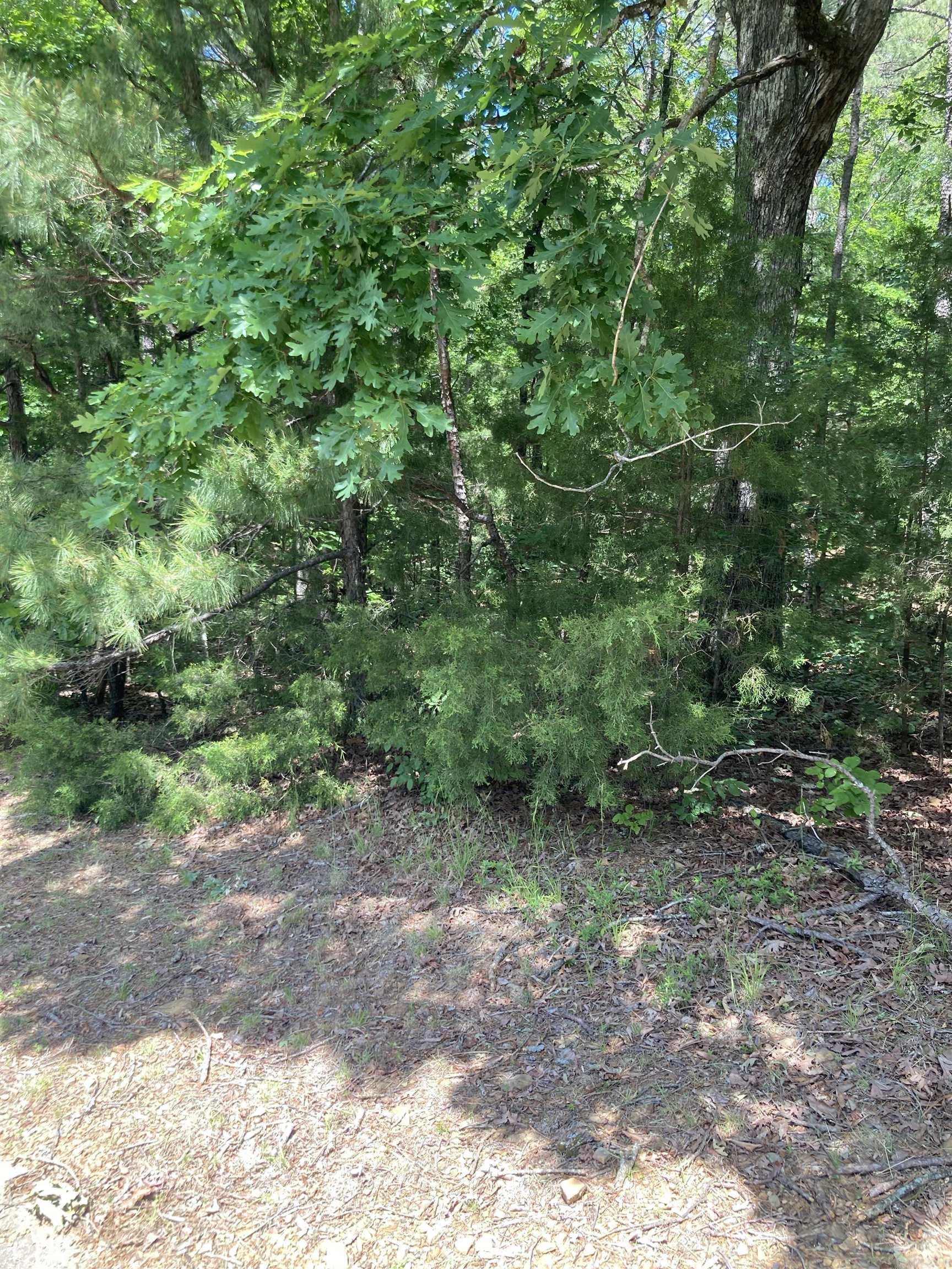 000 Dave Creek Pkwy  Fairfield Bay, AR