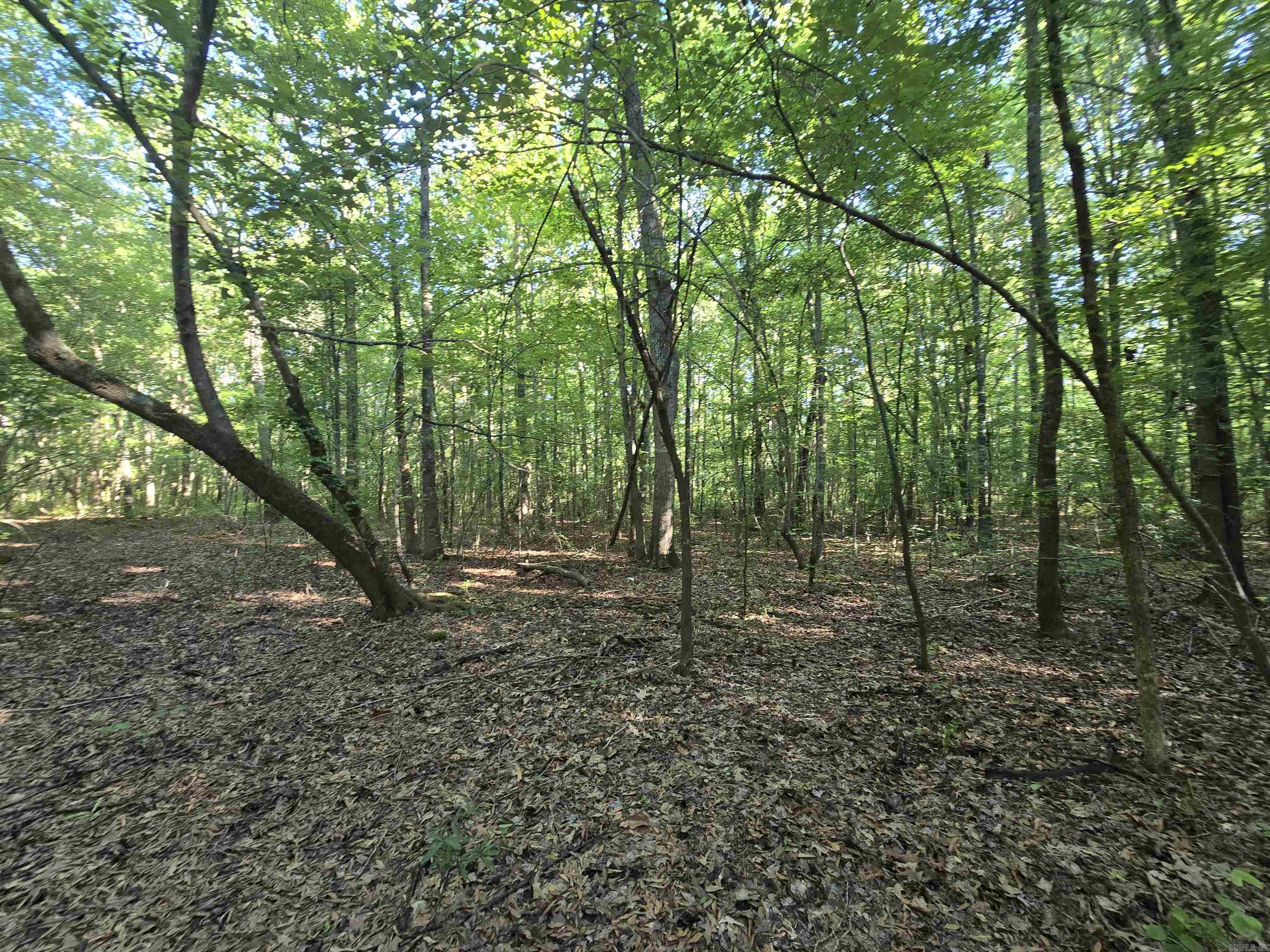 000 Cypress Lake  Beebe, AR