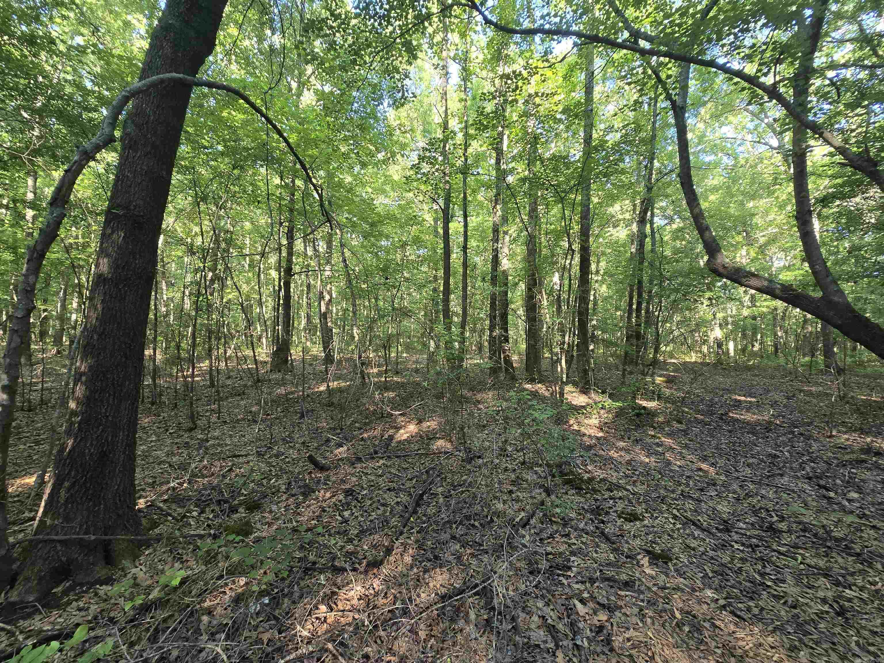 000 Cypress Lake  Beebe, AR