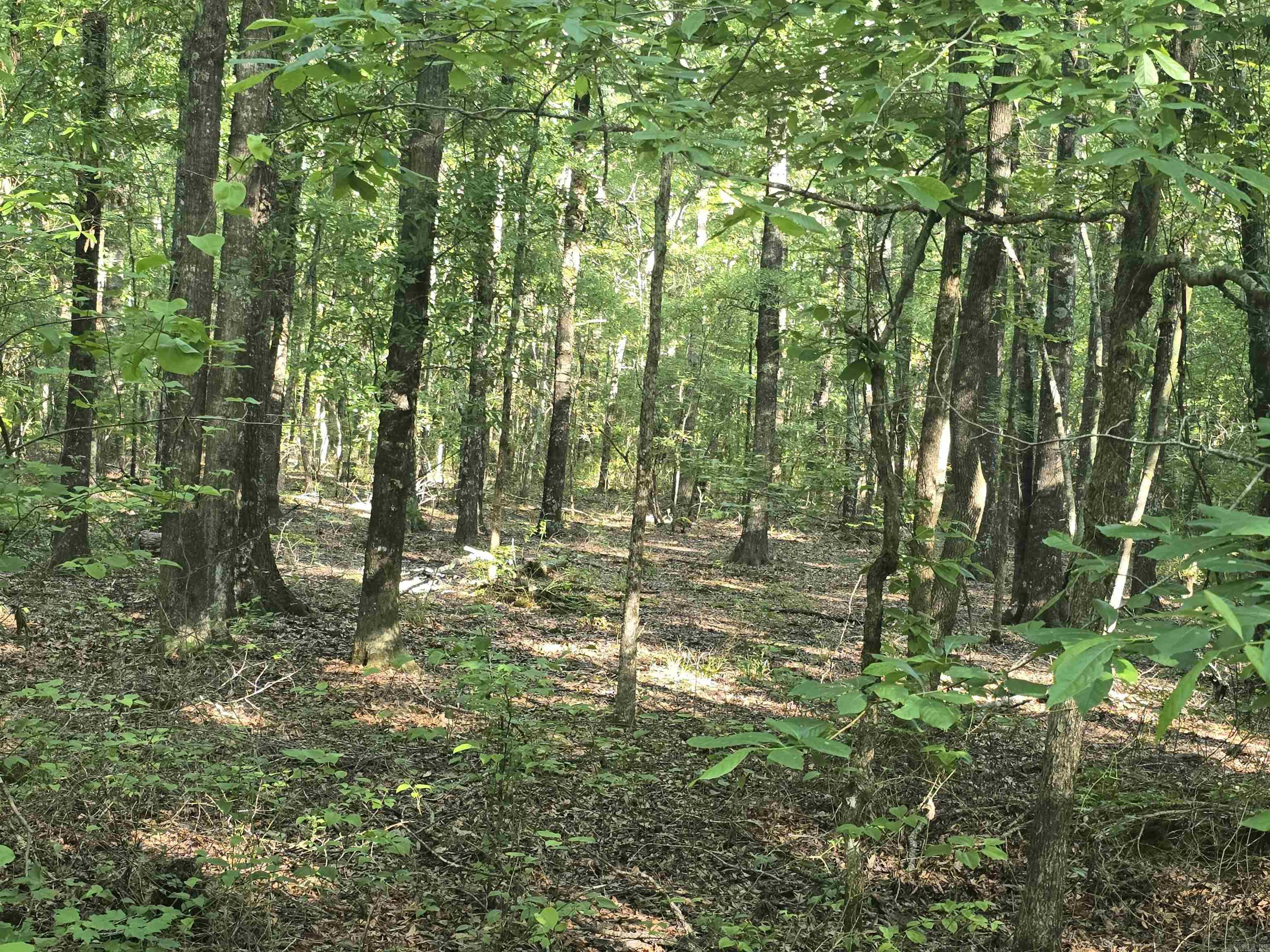 000 Cypress Lake  Beebe, AR