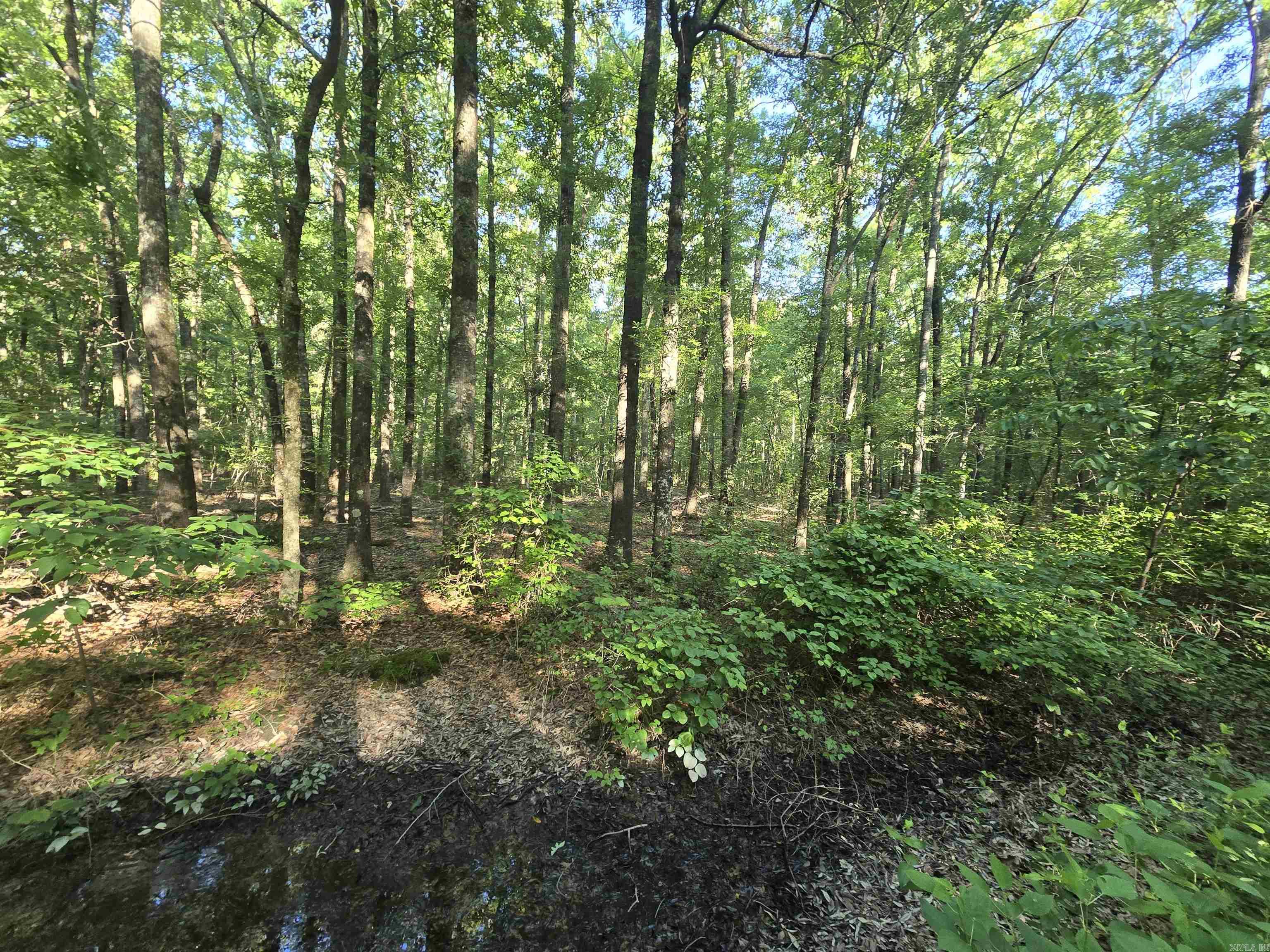 000 Cypress Lake  Beebe, AR