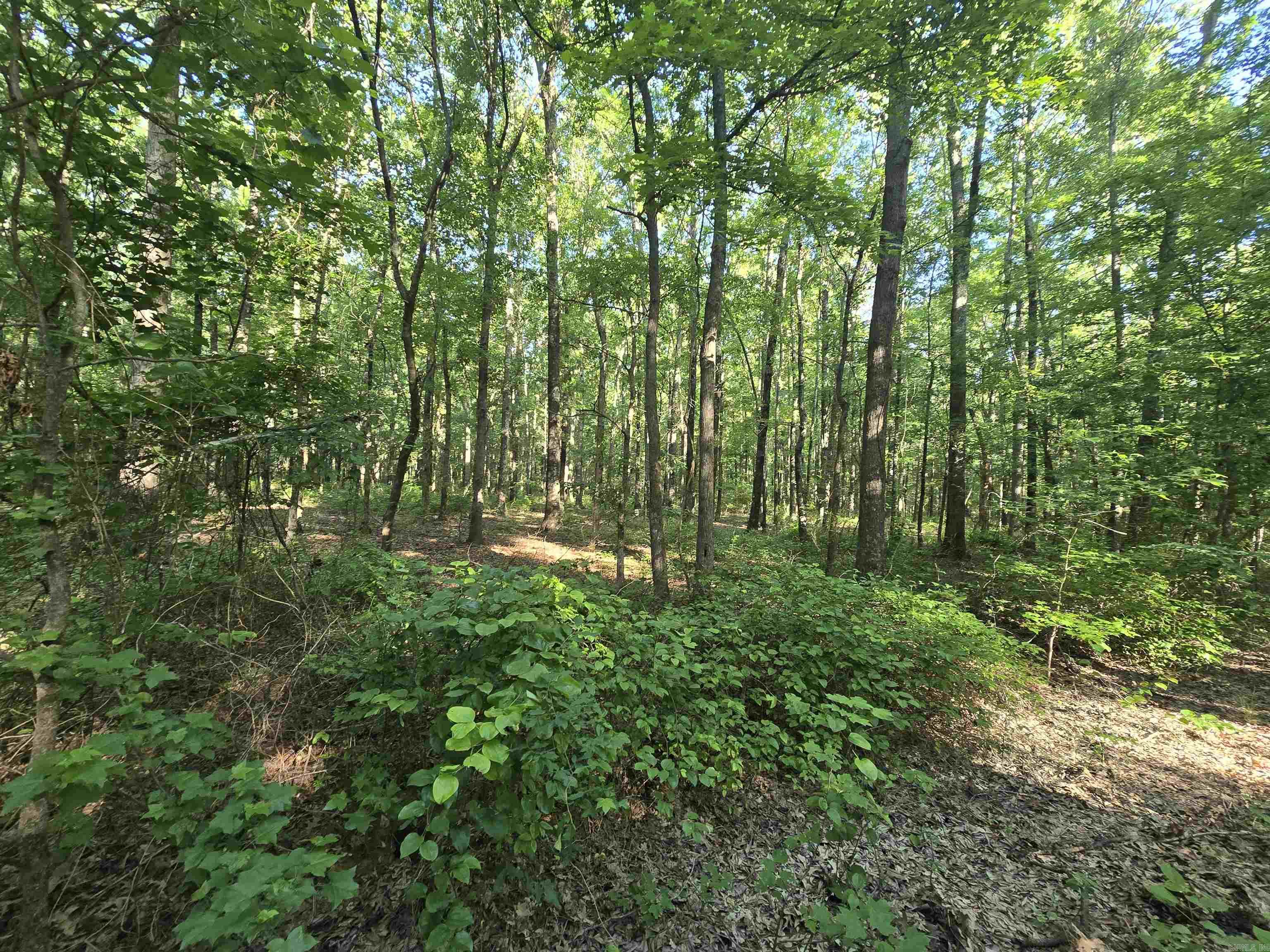 000 Cypress Lake  Beebe, AR