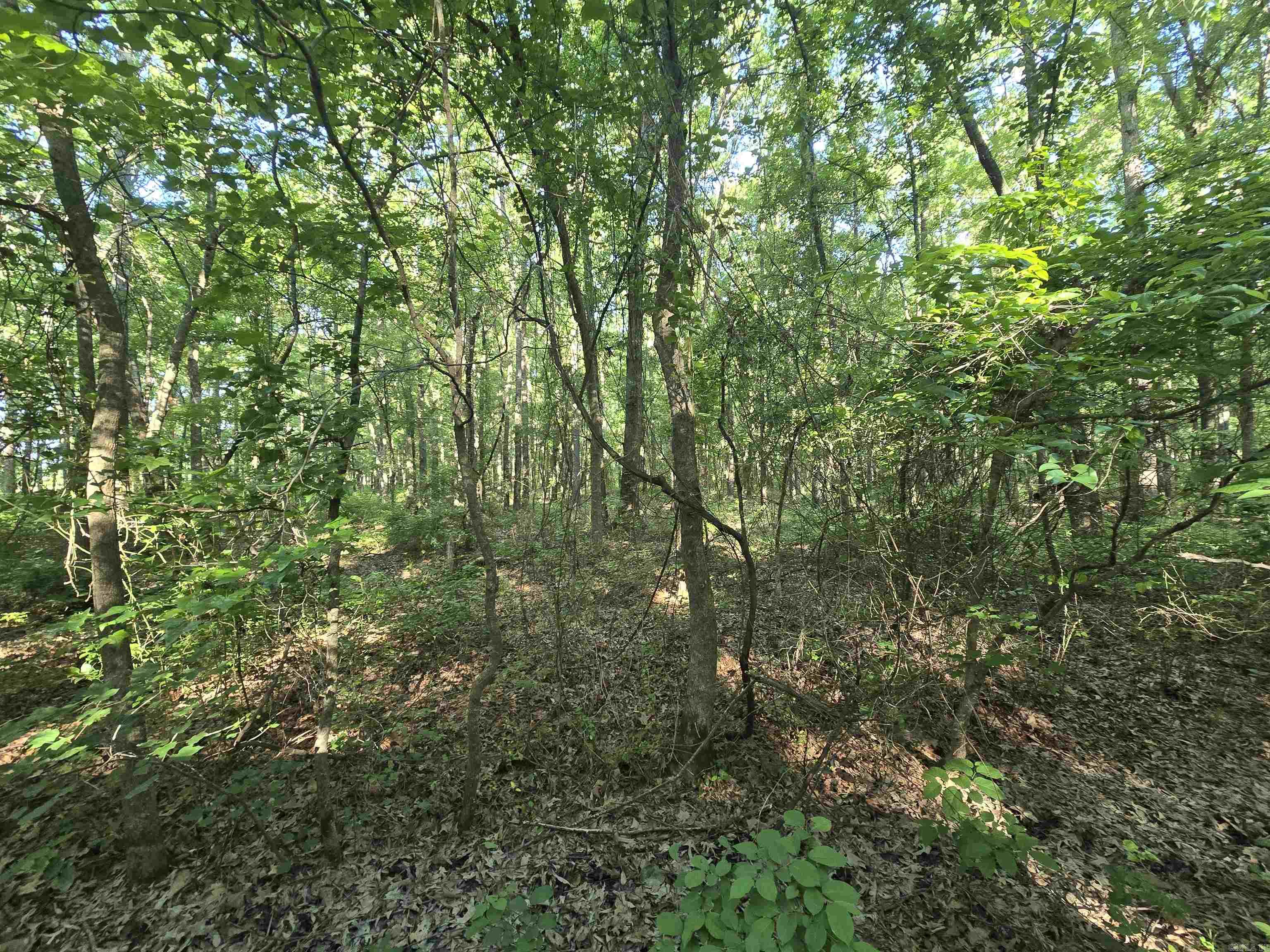 000 Cypress Lake  Beebe, AR