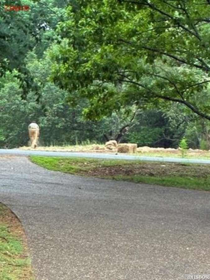 201 Breezehill Road  Hot Springs, AR