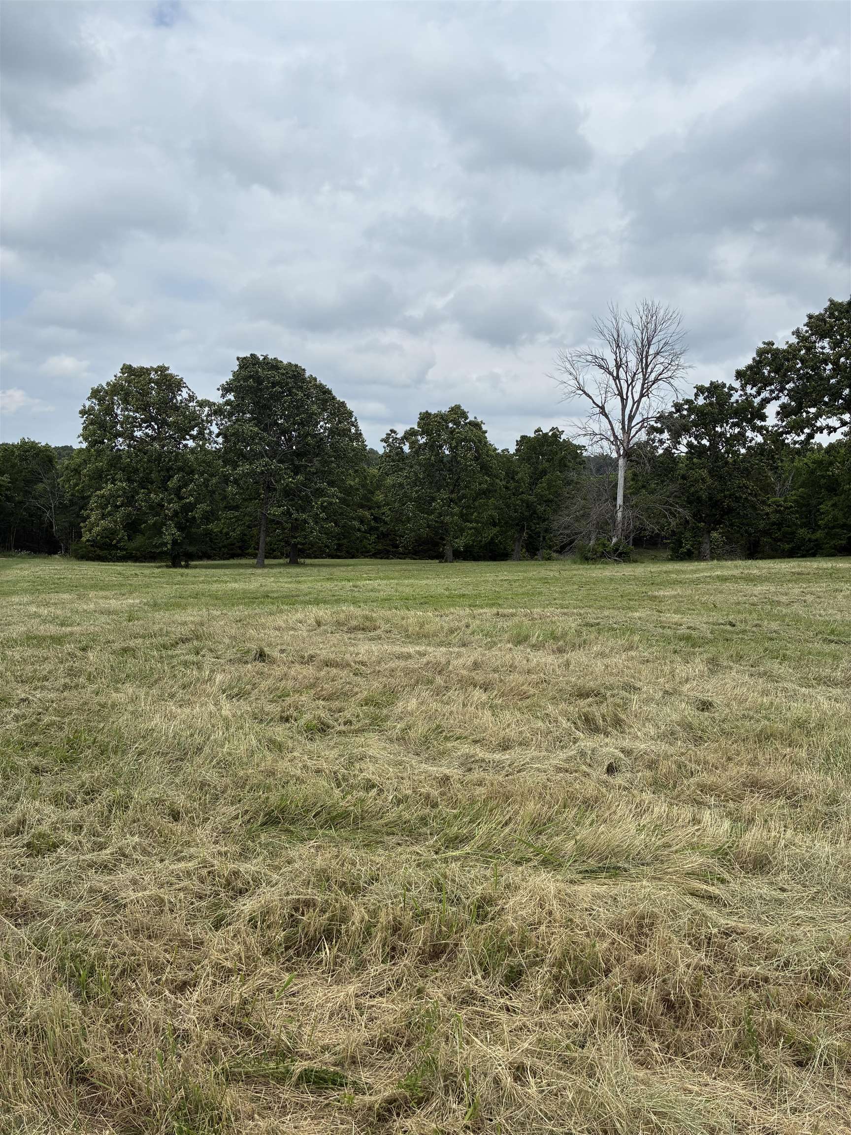 TBD Buford Cutoff  Mountain Home, AR