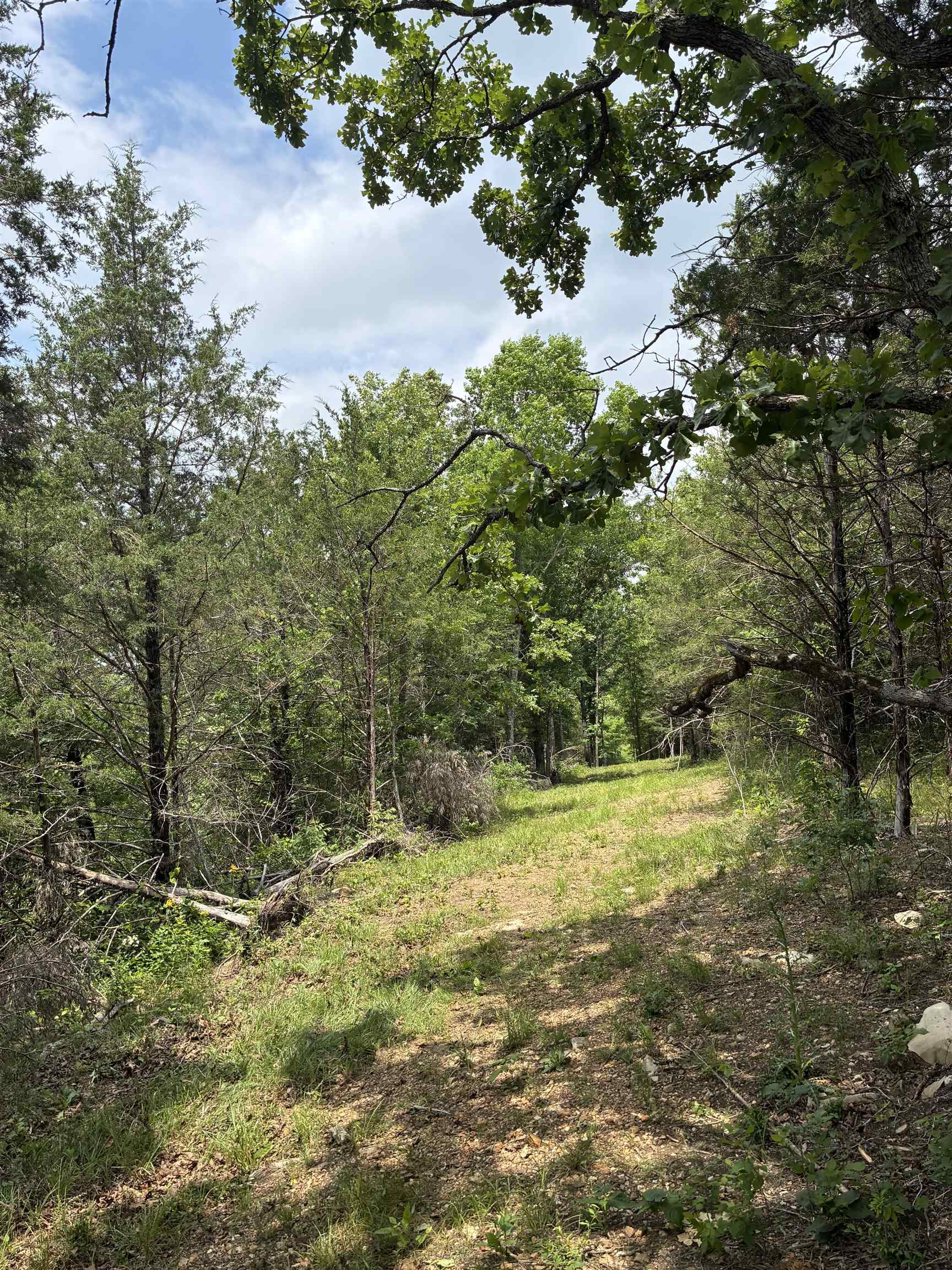 TBD Buford Cutoff  Mountain Home, AR