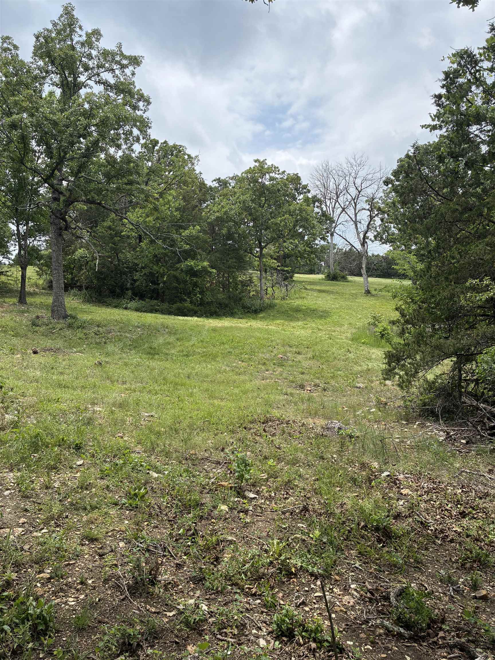 TBD Buford Cutoff  Mountain Home, AR
