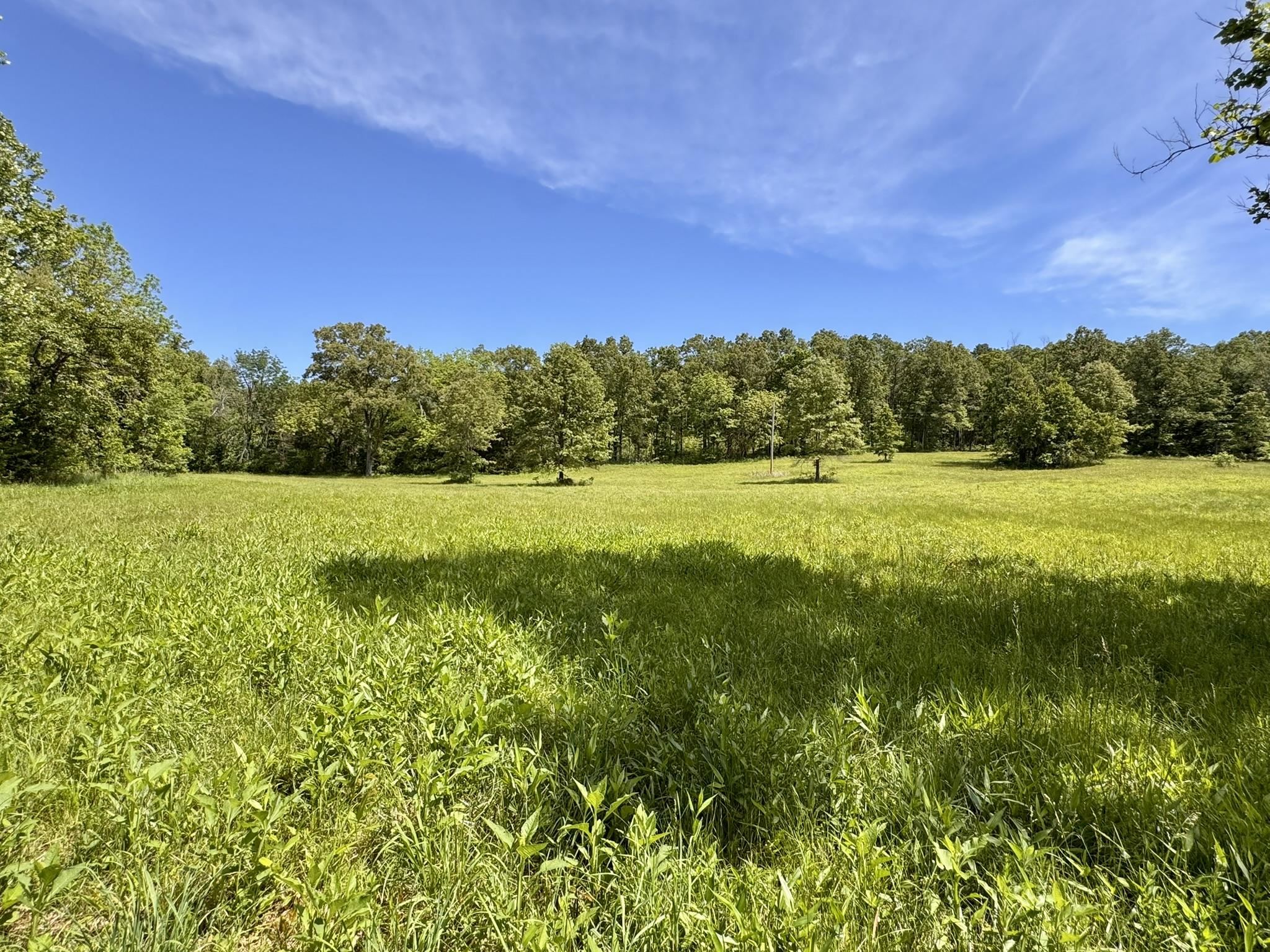 18 Sharp Lane  Brockwell, AR