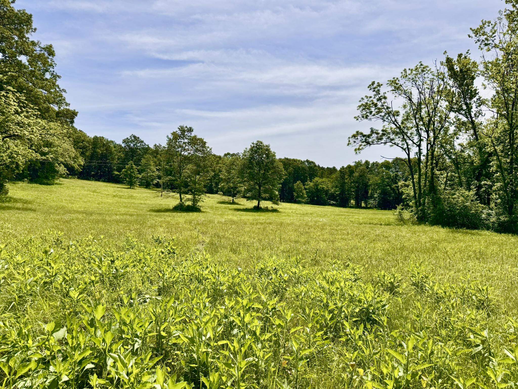 18 Sharp Lane  Brockwell, AR