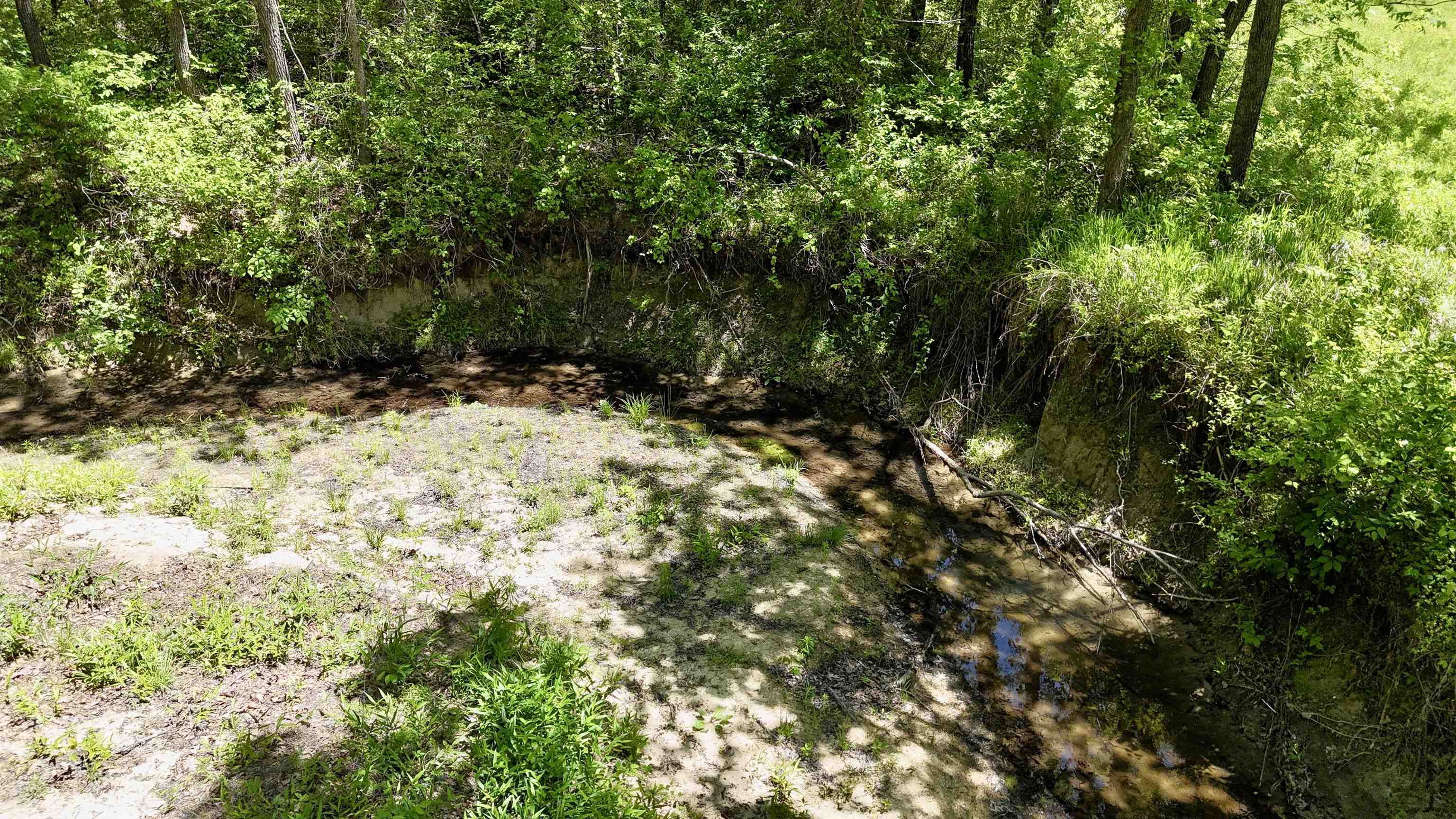 18 Sharp Lane  Brockwell, AR