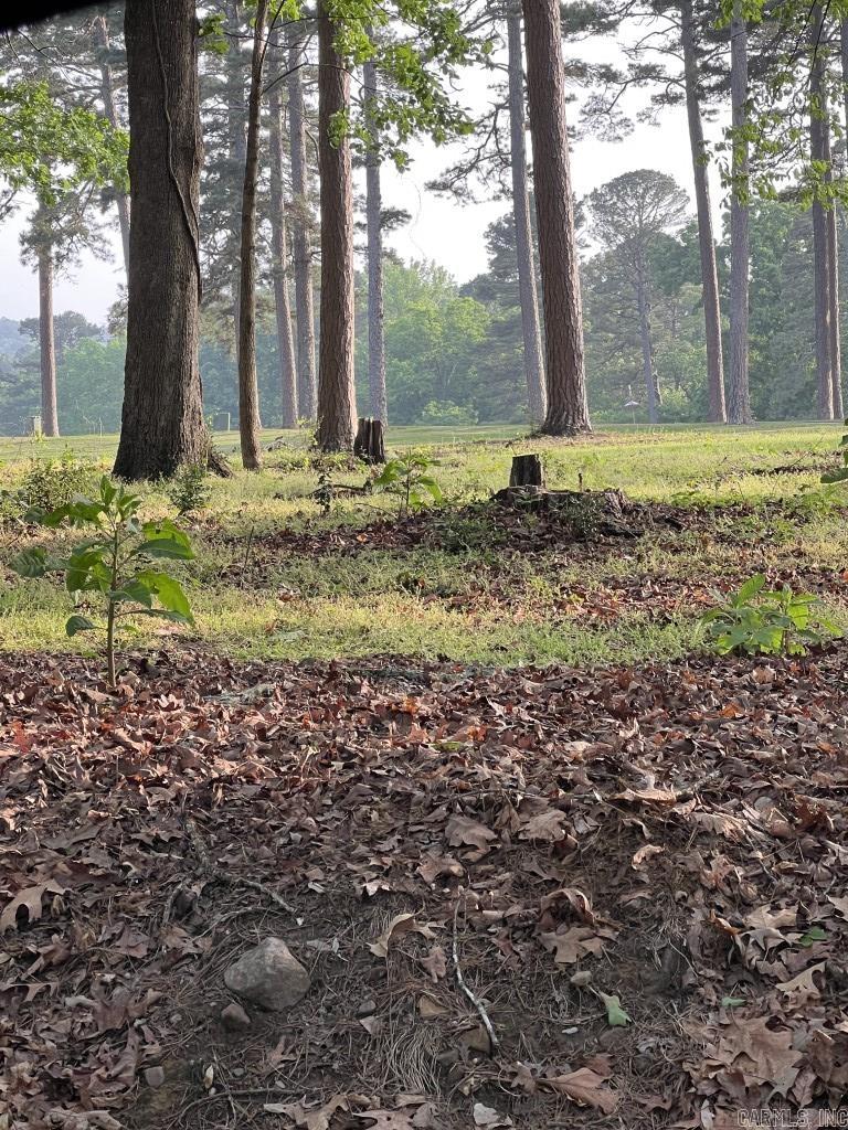 172 Cordero Lane  Hot Springs Village, AR