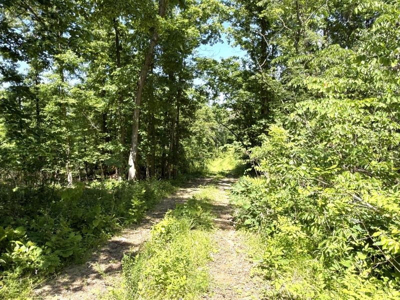 00 Old Union Road  Imboden, AR