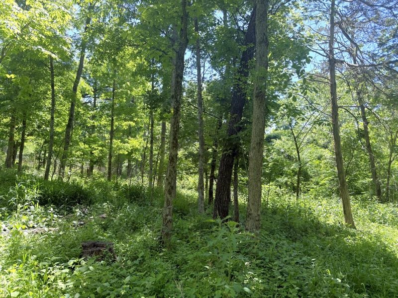 00 Old Union Road  Imboden, AR
