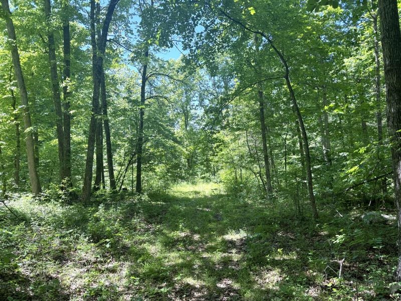 00 Old Union Road  Imboden, AR