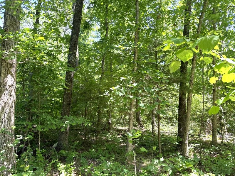 00 Old Union Road  Imboden, AR