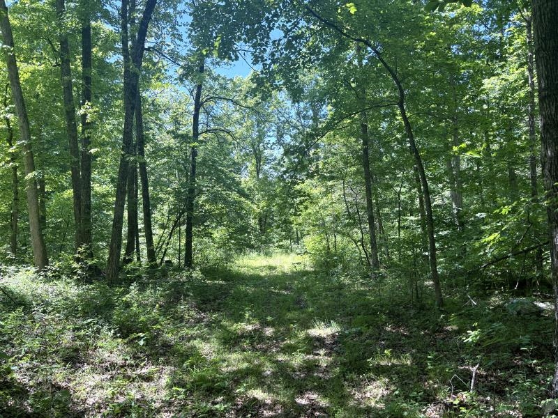 00 Old Union Road  Imboden, AR