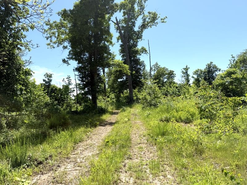 00 Old Union Road  Imboden, AR