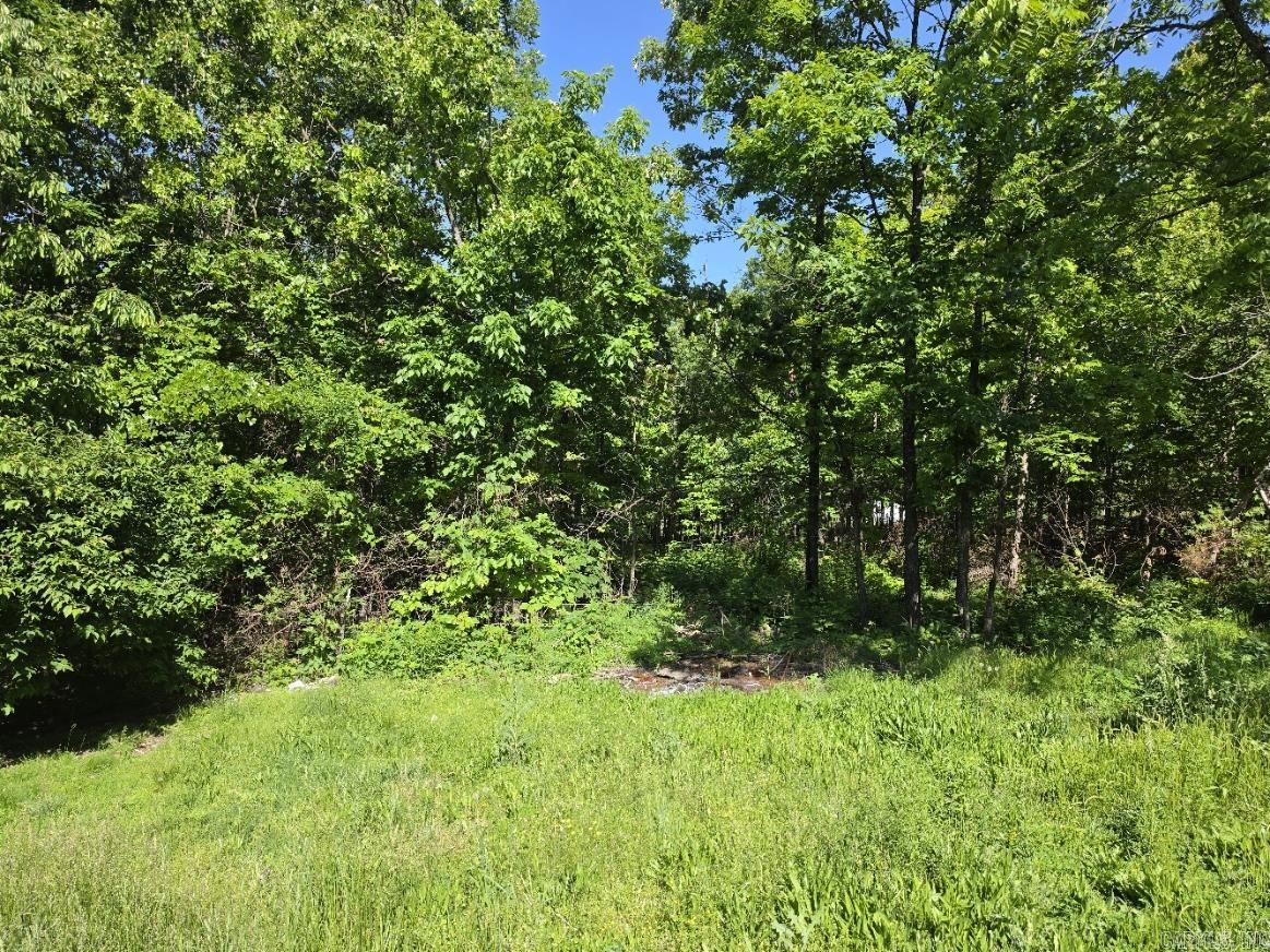 11 private road AA-84  Alton, OR