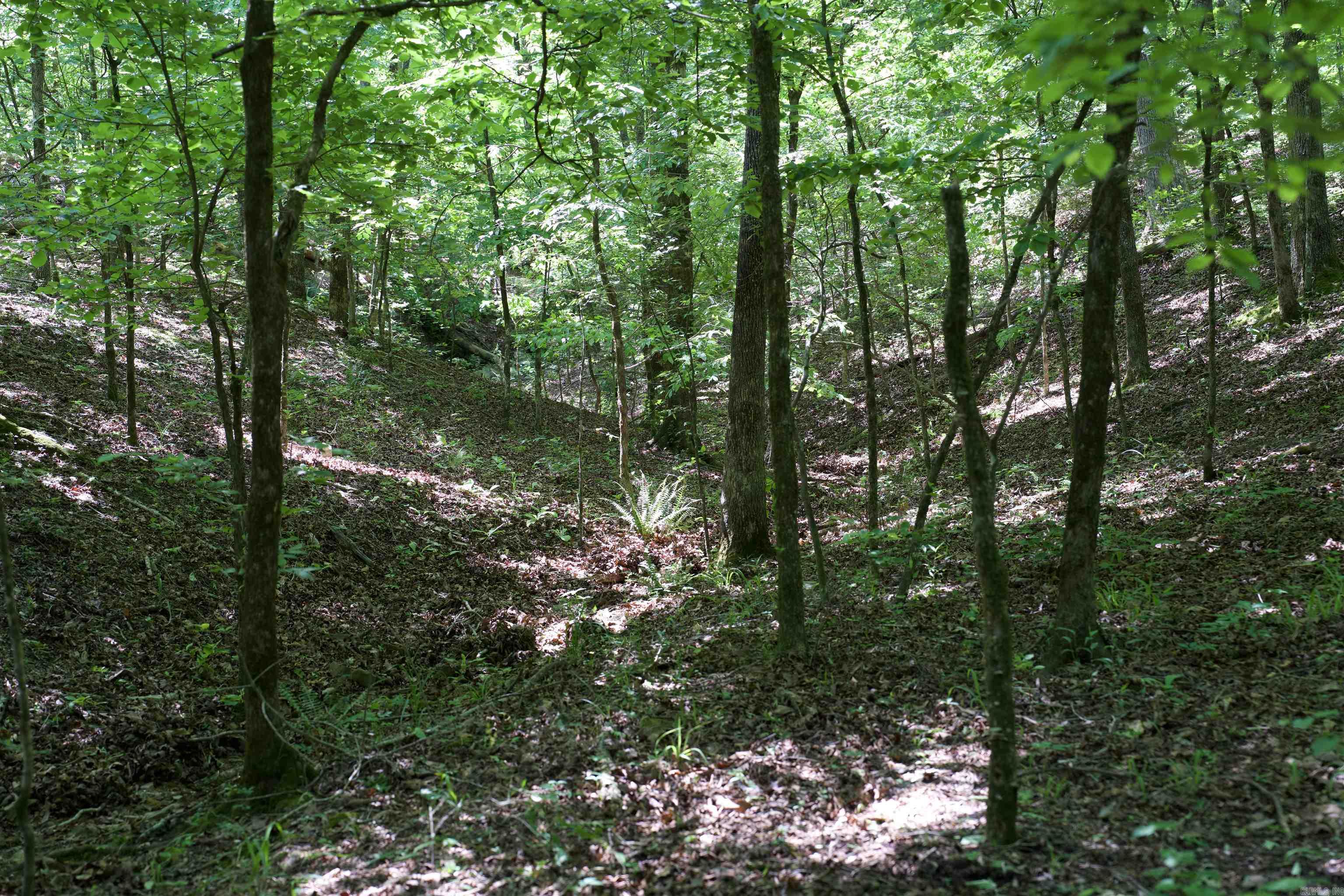 000 Obar  Langley, AR
