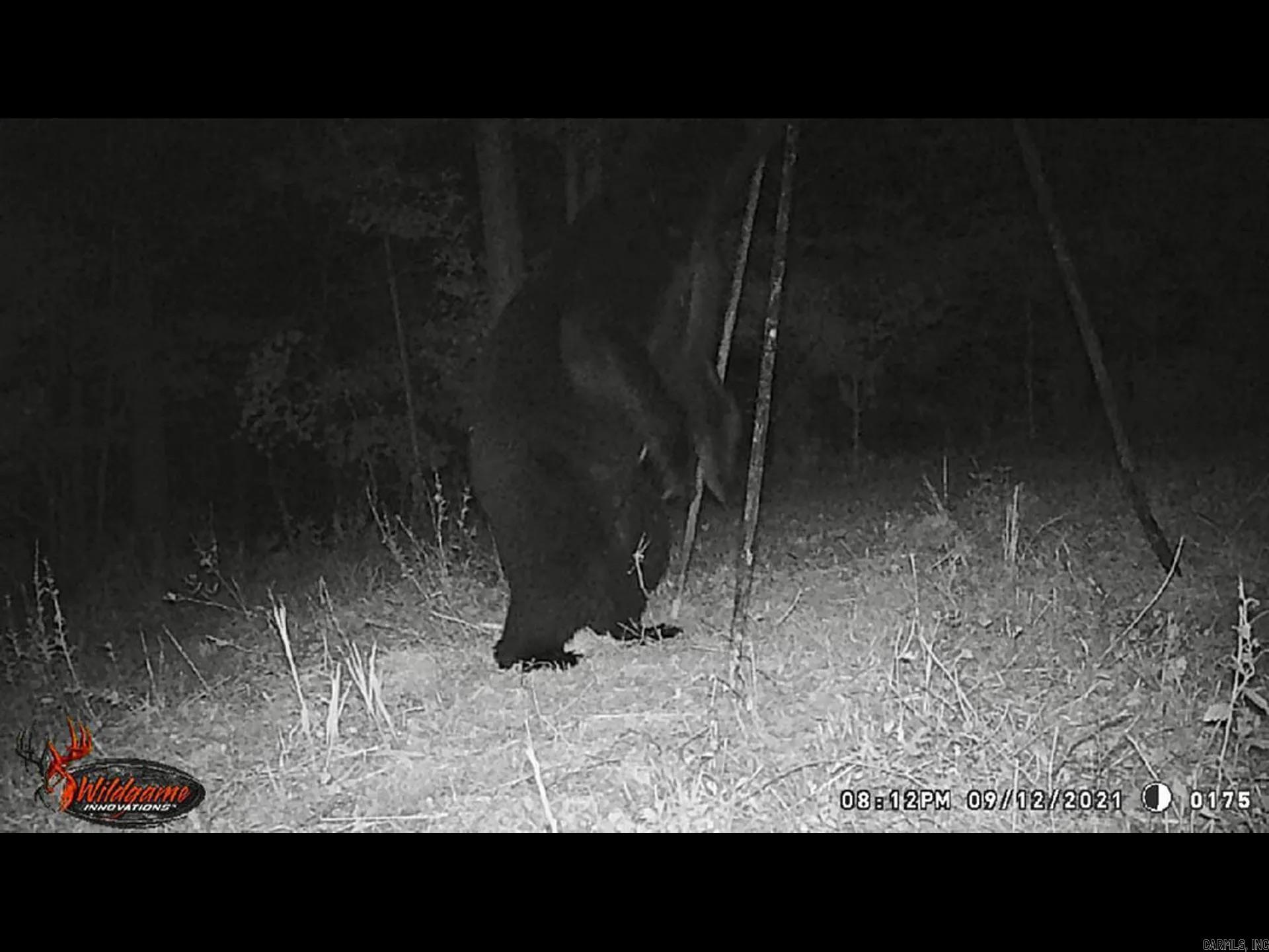 000 Obar  Langley, AR