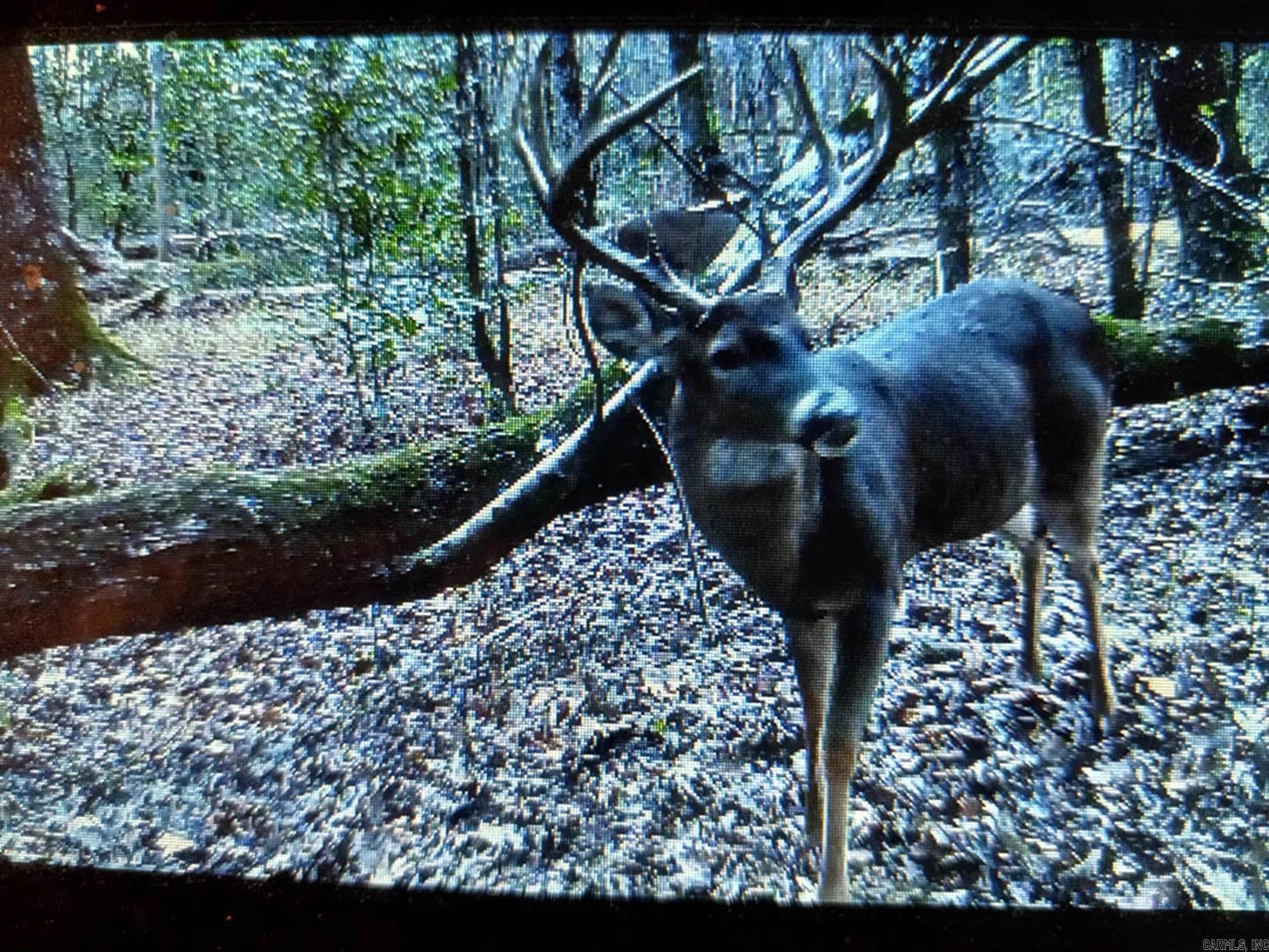 000 Obar  Langley, AR