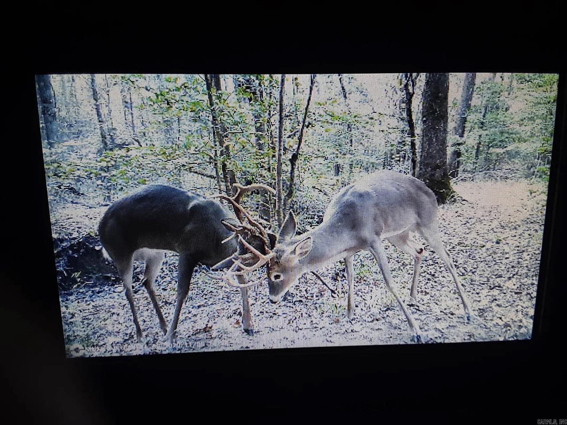 000 Obar  Langley, AR