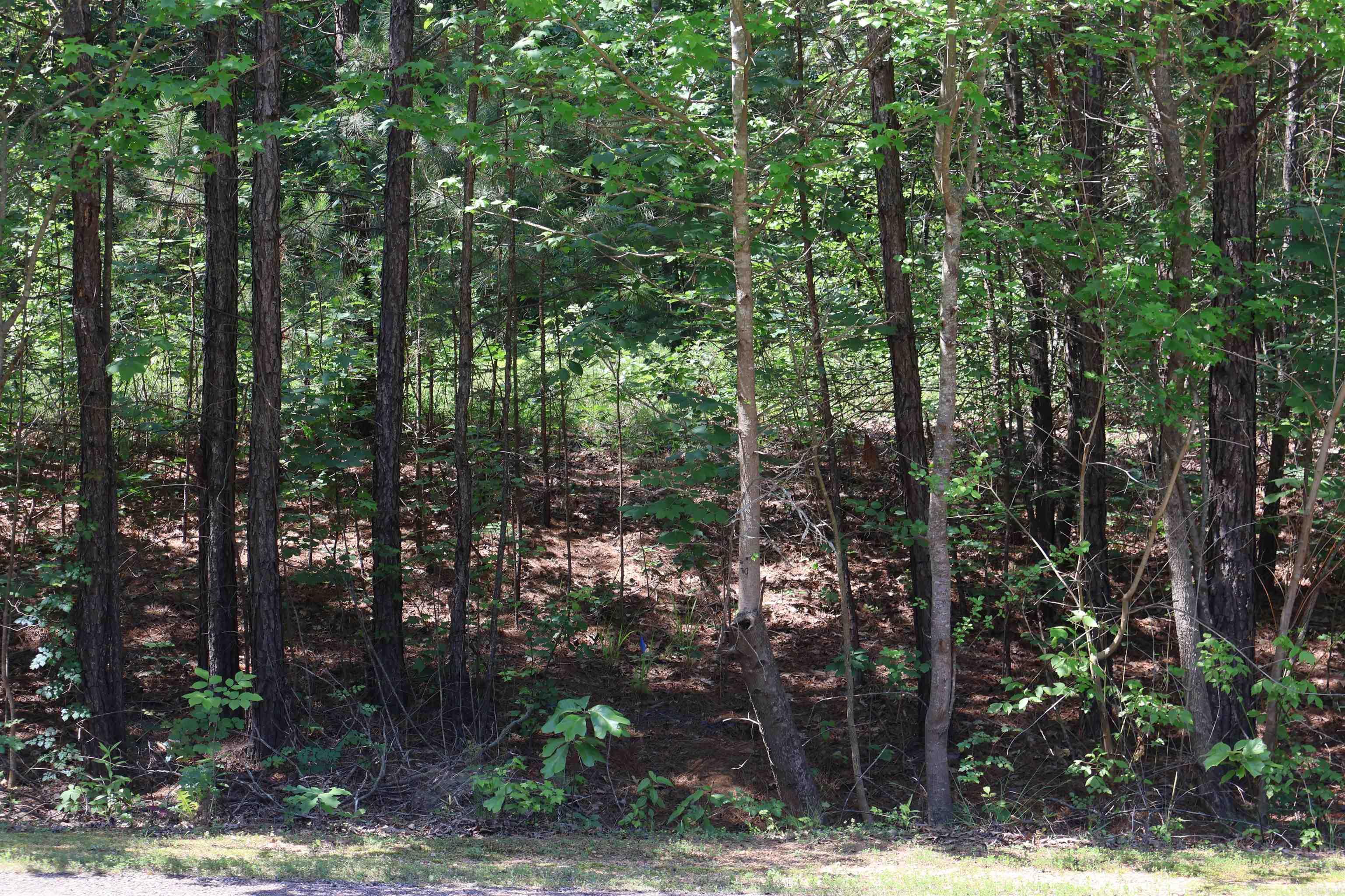 TBD Heather Ridge  Texarkana, AR