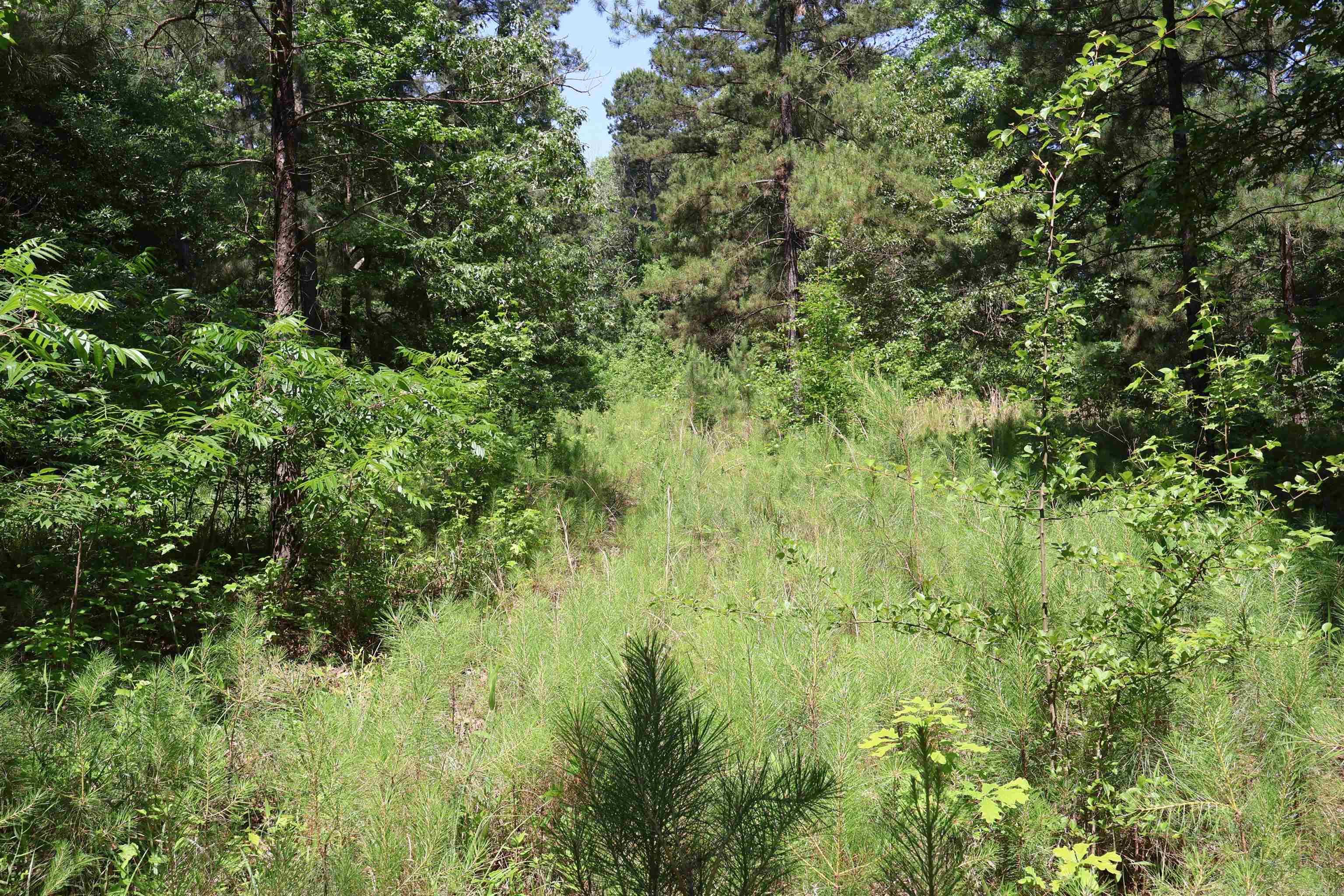 TBD Heather Ridge  Texarkana, AR