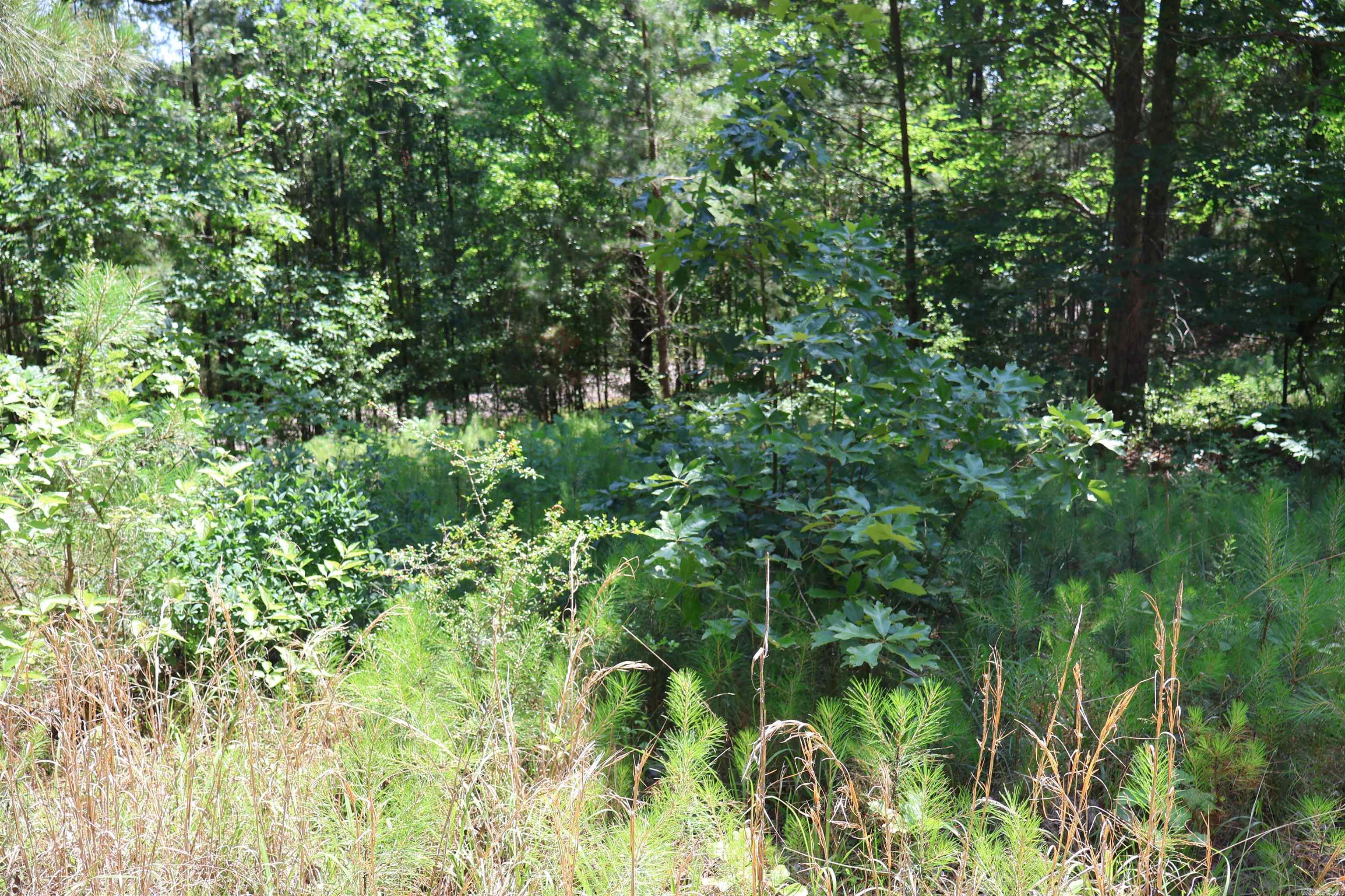 TBD Heather Ridge  Texarkana, AR