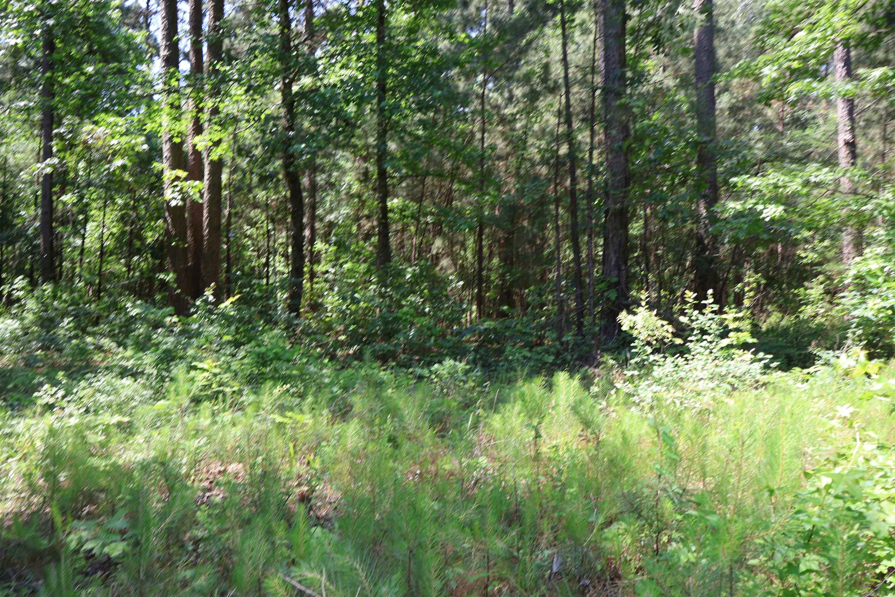 TBD Heather Ridge  Texarkana, AR