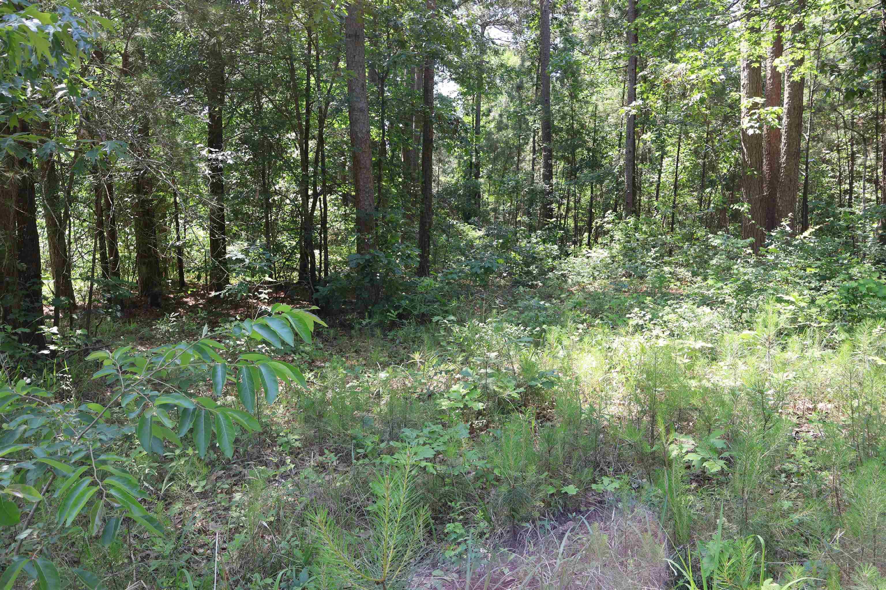 TBD Heather Ridge  Texarkana, AR