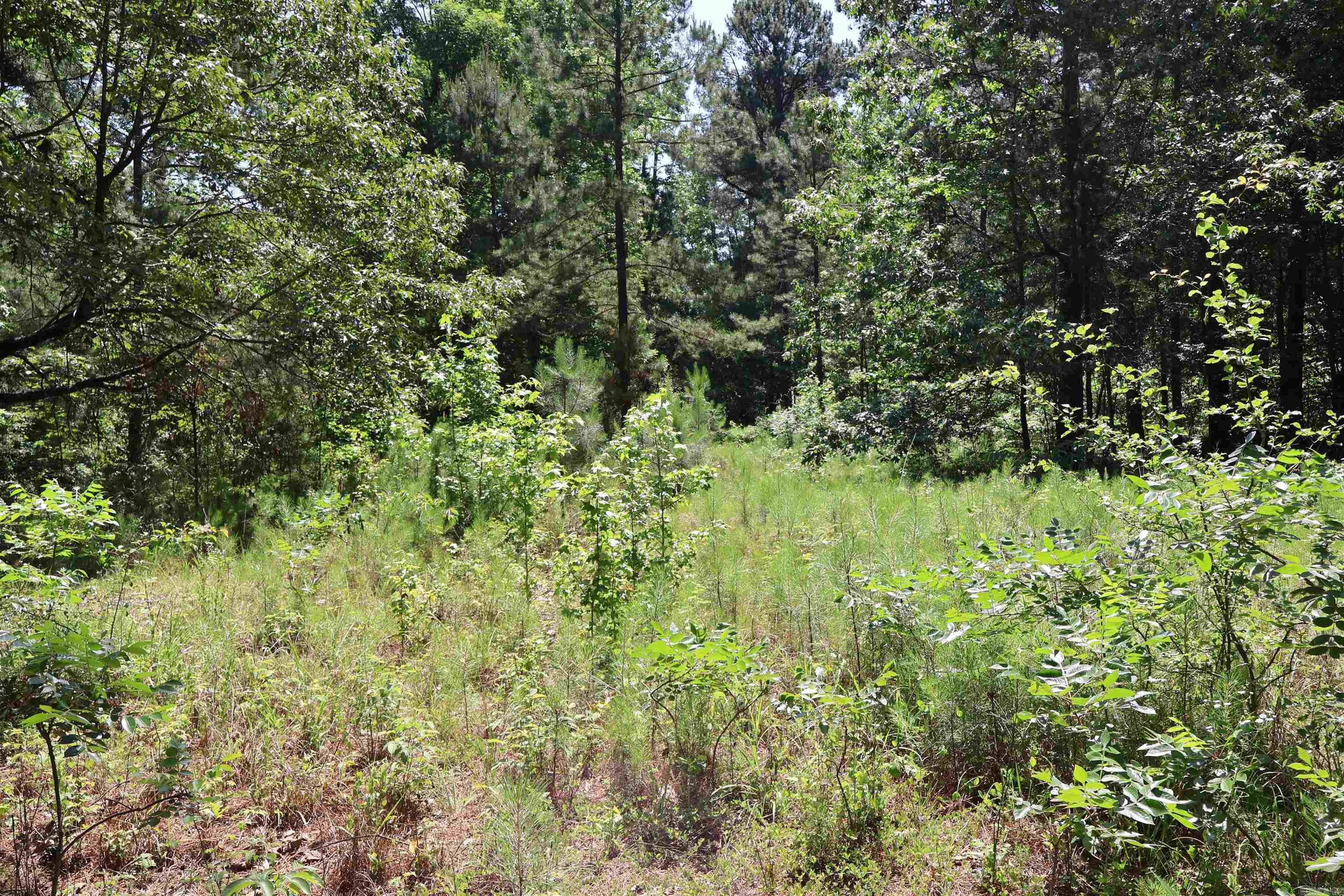 TBD Heather Ridge  Texarkana, AR