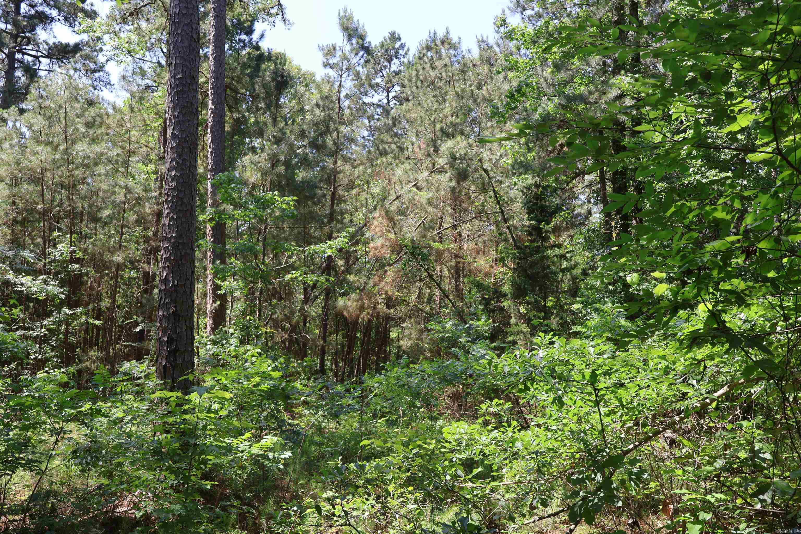 TBD Heather Ridge  Texarkana, AR